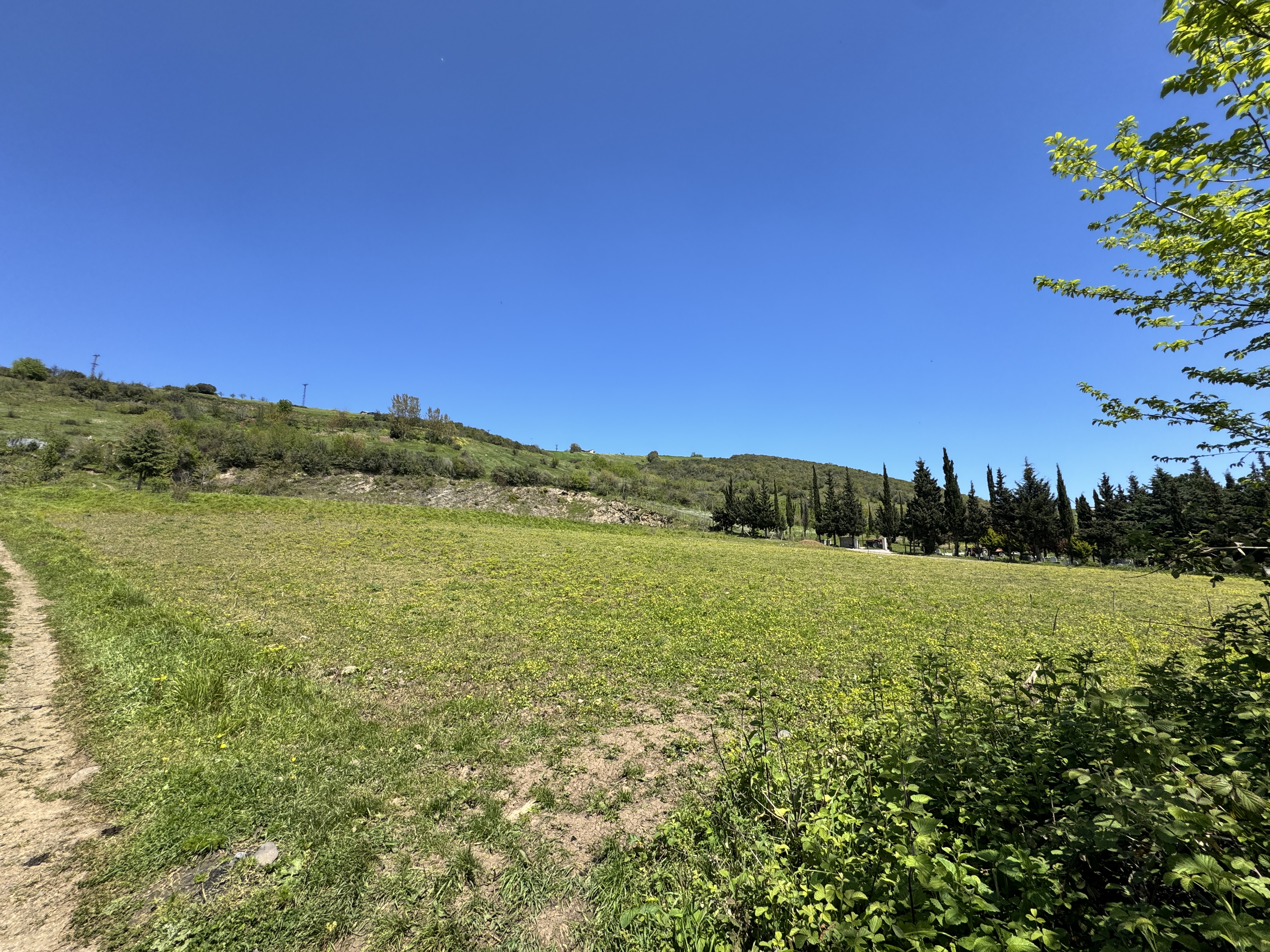 MABEL SAMSUN'DAN TAFLAN'DA YOLA CEPHE SATILIK TARLA