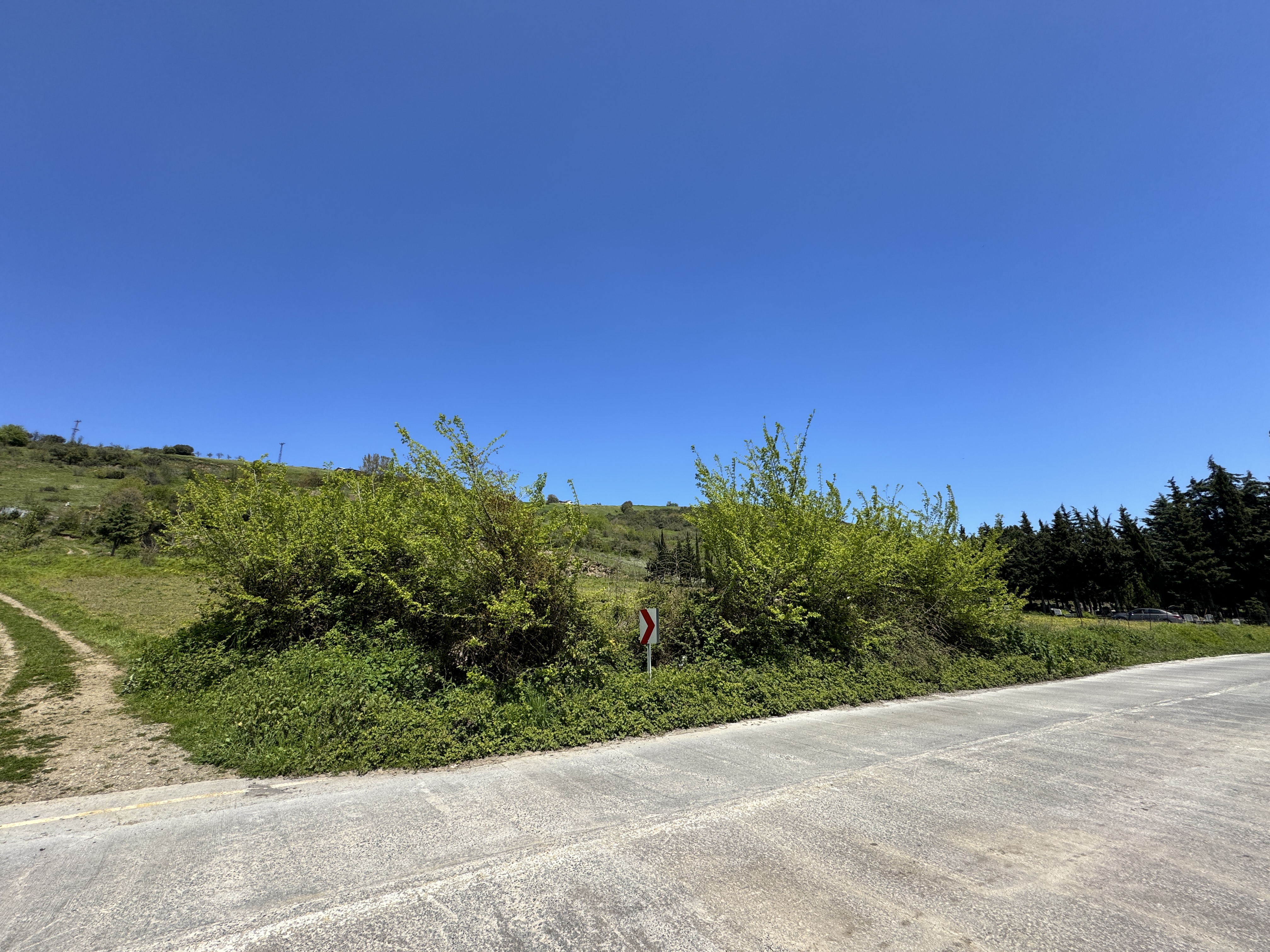 MABEL SAMSUN'DAN TAFLAN'DA YOLA CEPHE SATILIK TARLA