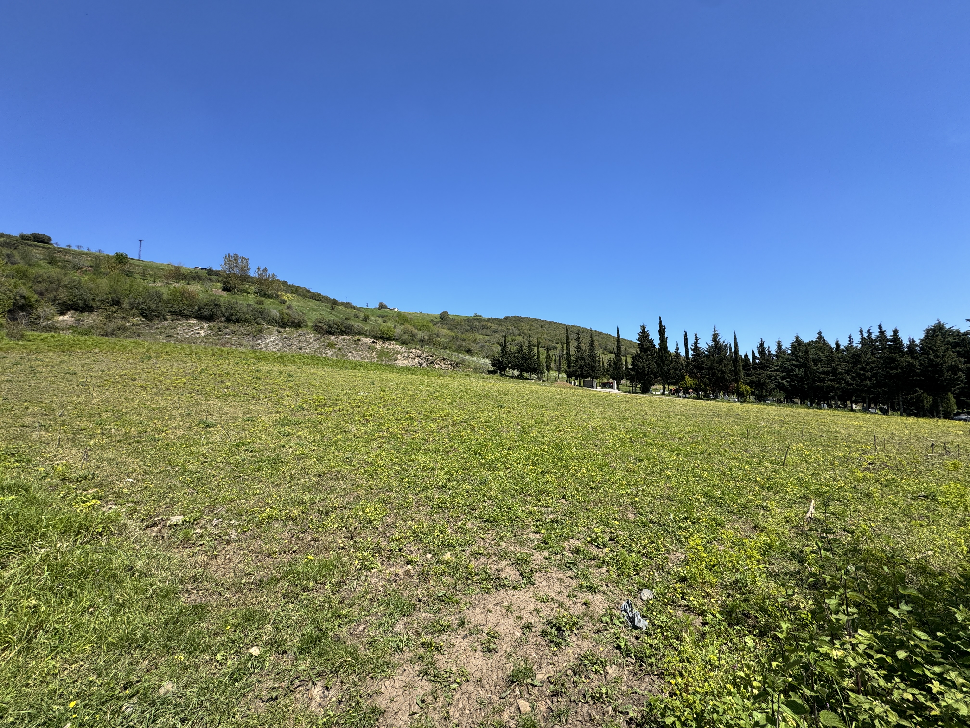 MABEL SAMSUN'DAN TAFLAN'DA YOLA CEPHE SATILIK TARLA