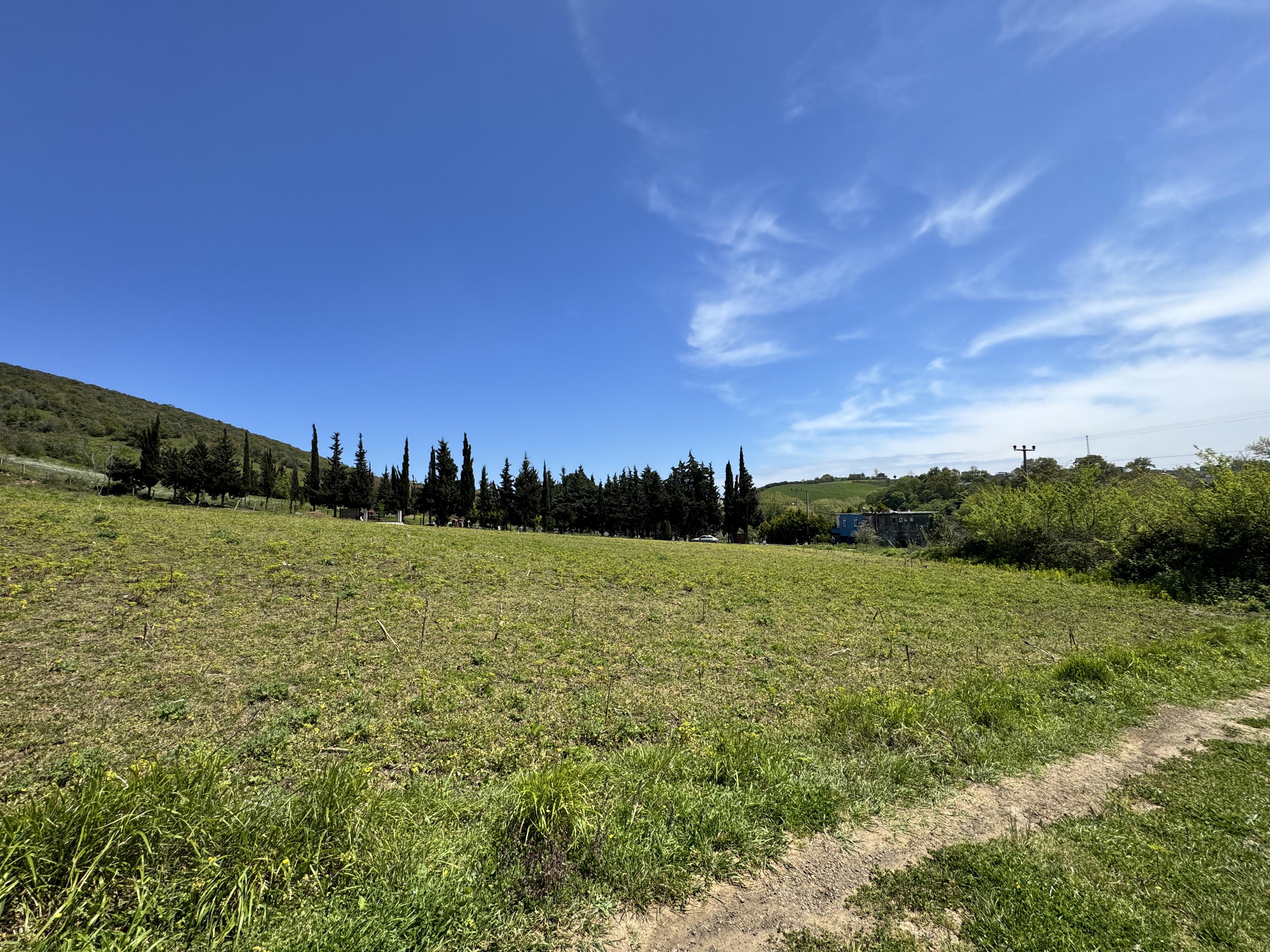 MABEL SAMSUN'DAN TAFLAN'DA YOLA CEPHE SATILIK TARLA