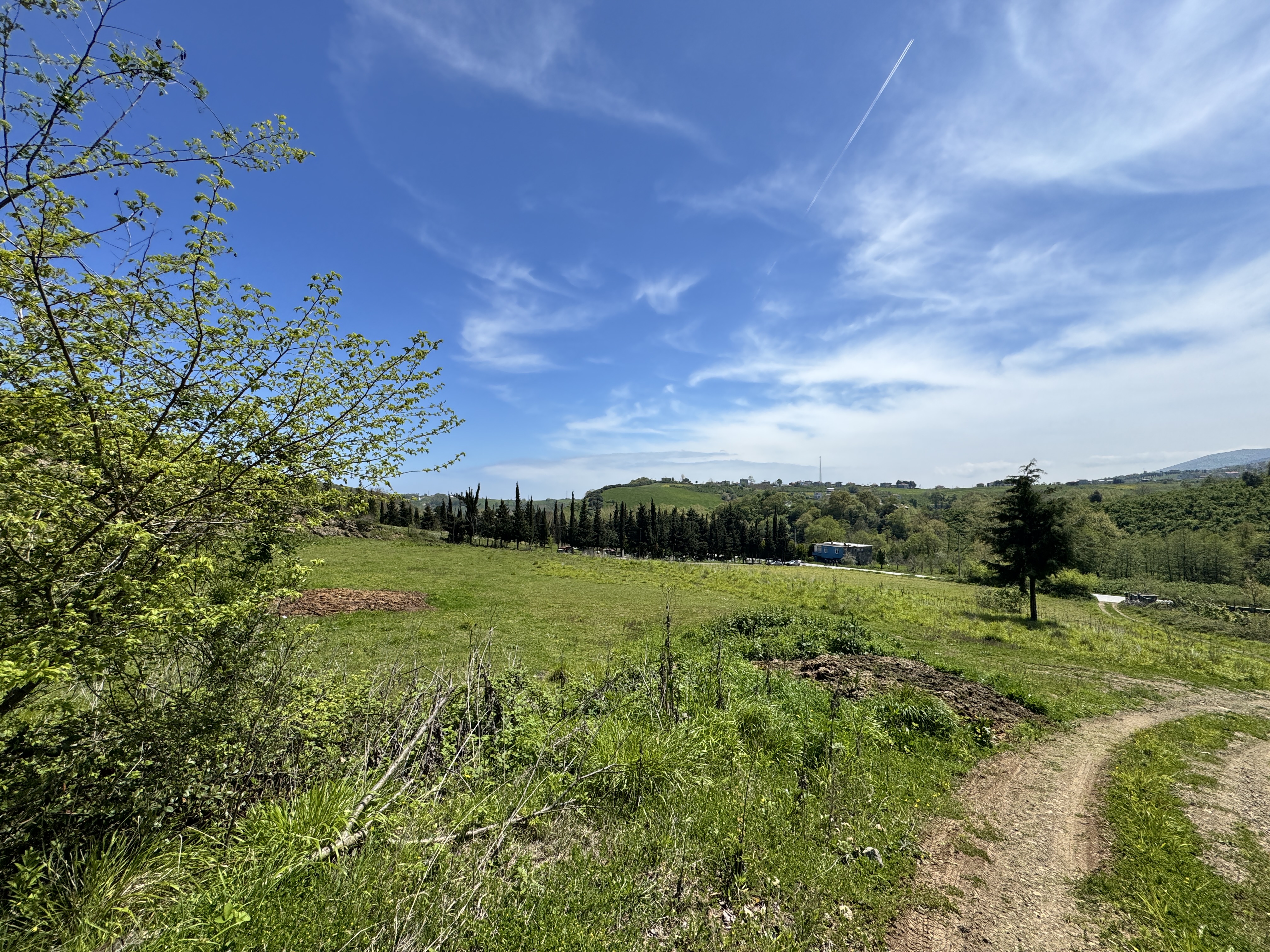 MABEL SAMSUN'DAN TAFLAN'DA YOLA CEPHE SATILIK TARLA