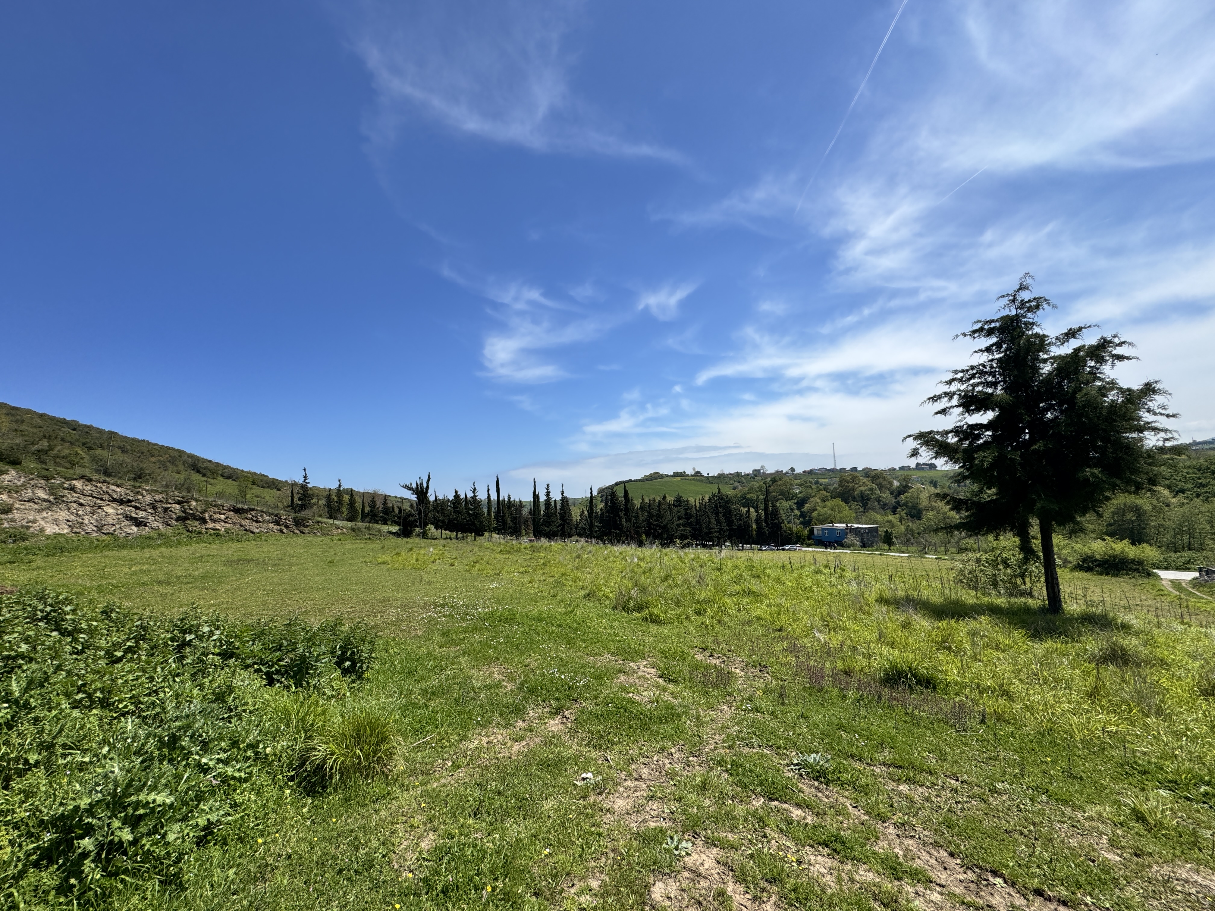 MABEL SAMSUN'DAN TAFLAN'DA YOLA CEPHE SATILIK TARLA