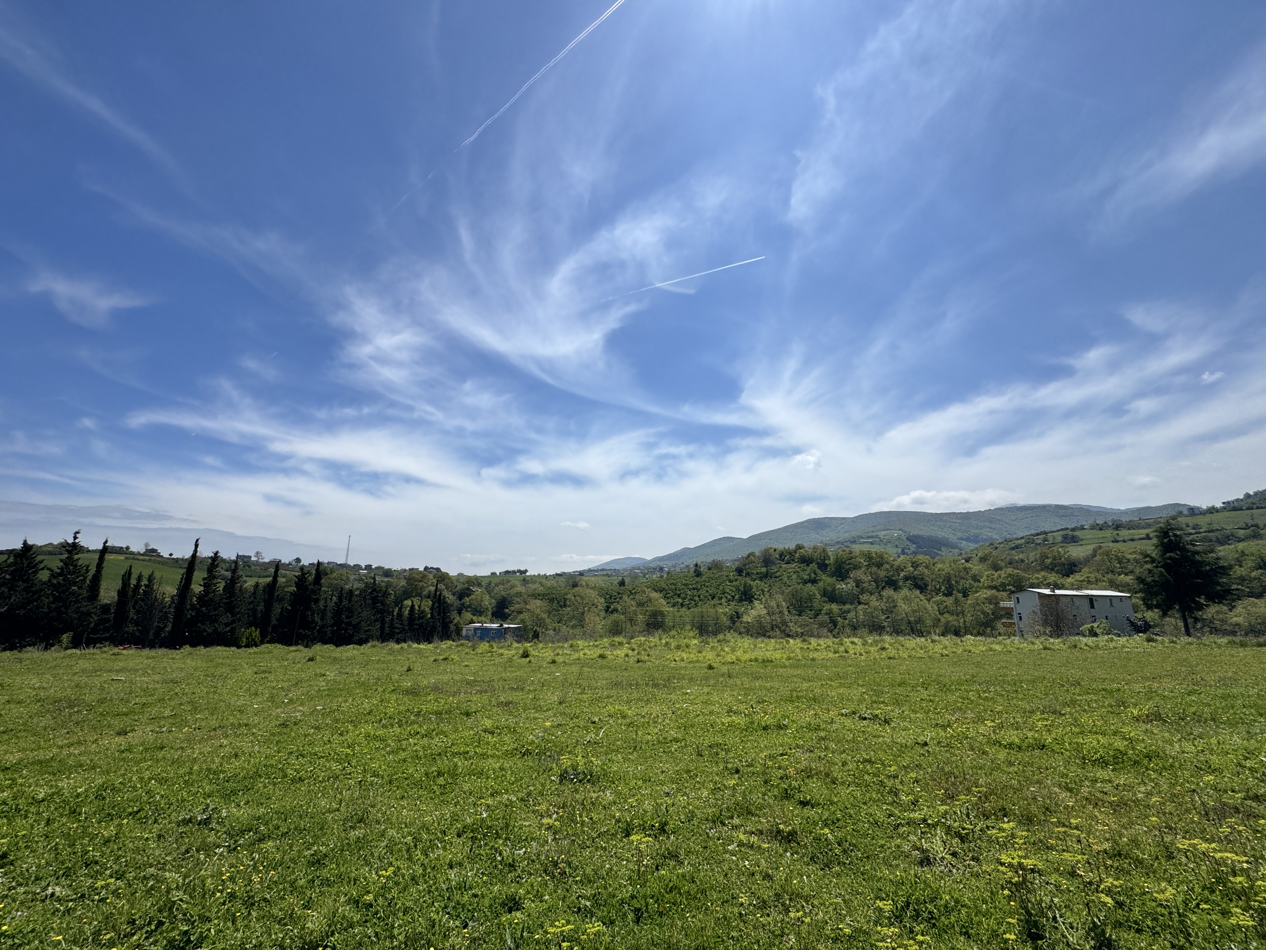 MABEL SAMSUN'DAN TAFLAN'DA YOLA CEPHE SATILIK TARLA