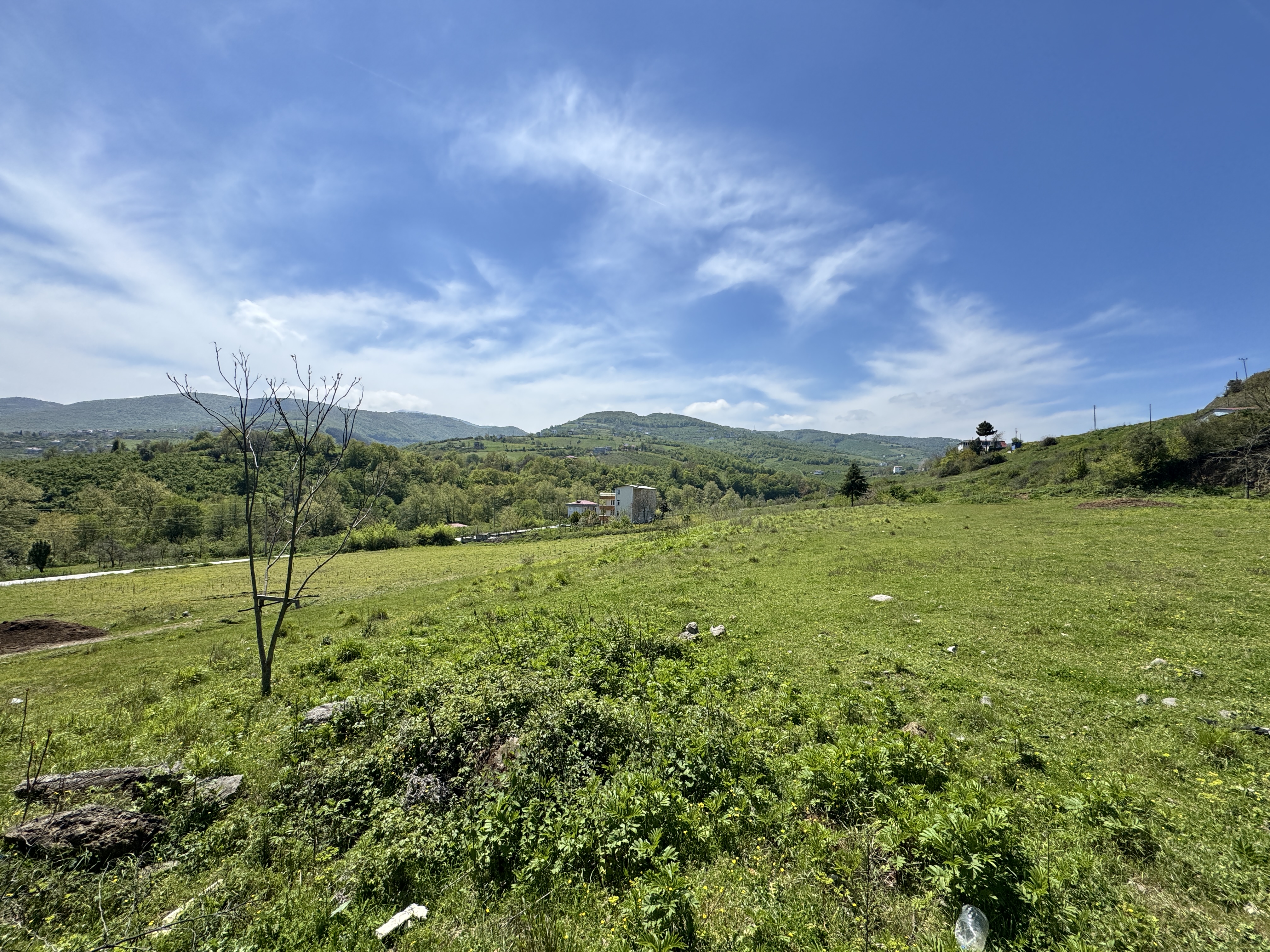MABEL SAMSUN'DAN TAFLAN'DA YOLA CEPHE SATILIK TARLA
