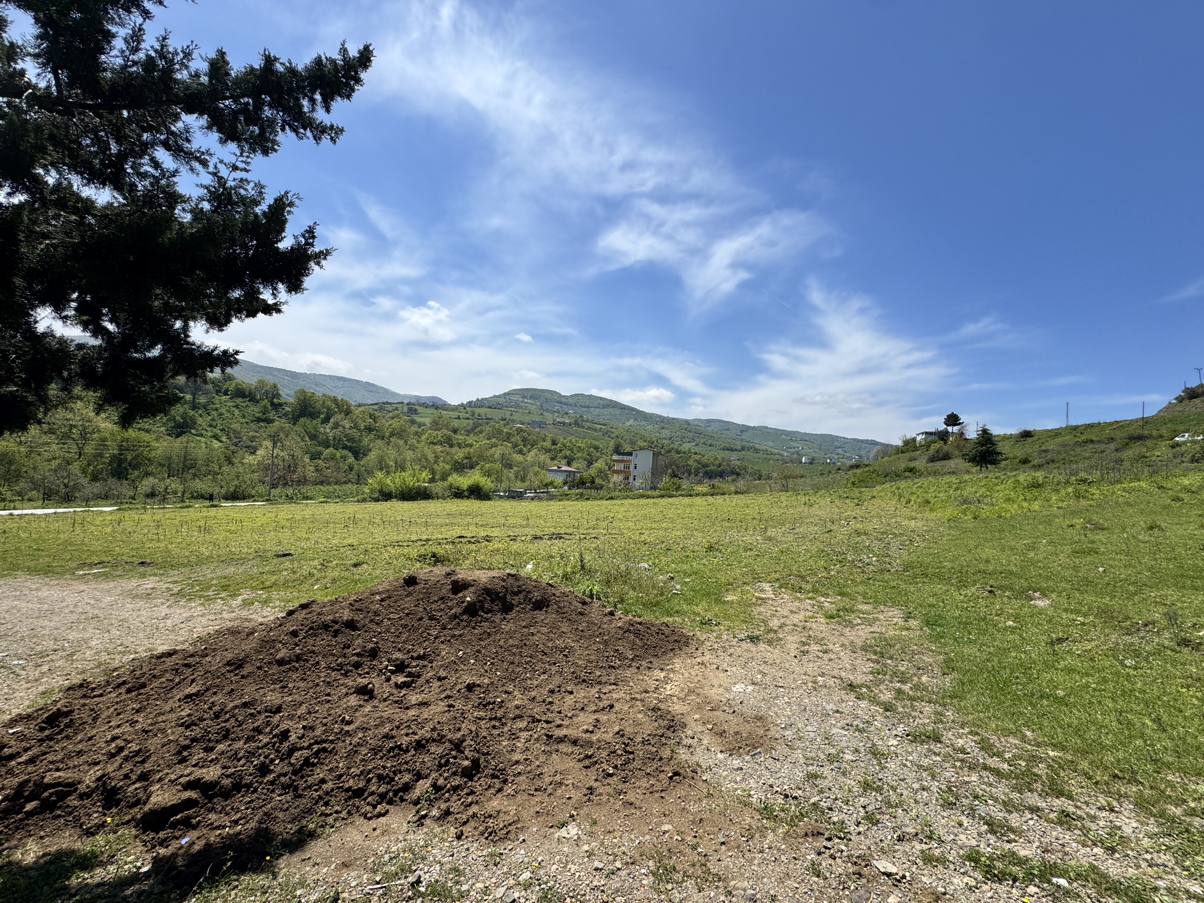 MABEL SAMSUN'DAN TAFLAN'DA YOLA CEPHE SATILIK TARLA
