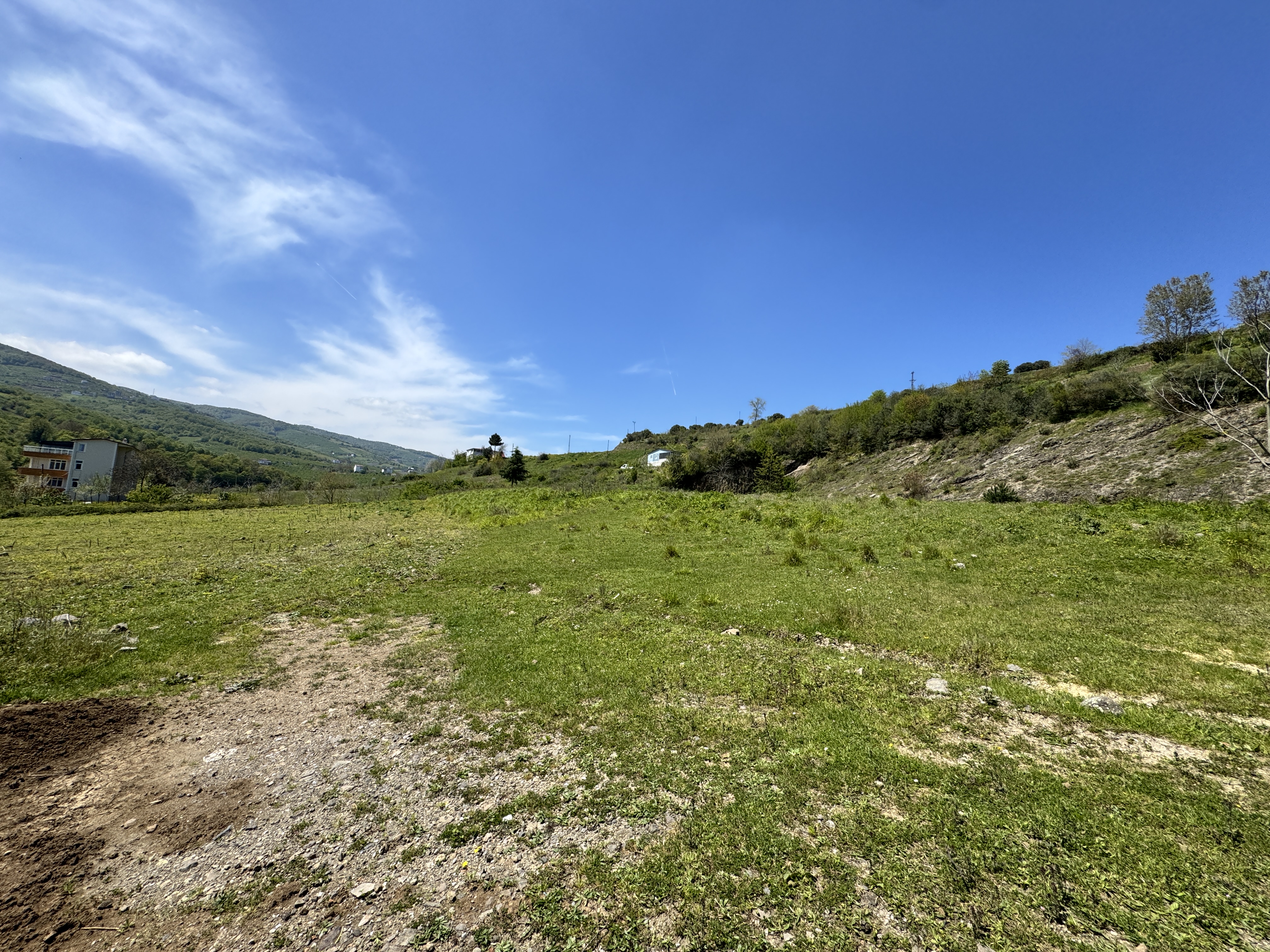 MABEL SAMSUN'DAN TAFLAN'DA YOLA CEPHE SATILIK TARLA