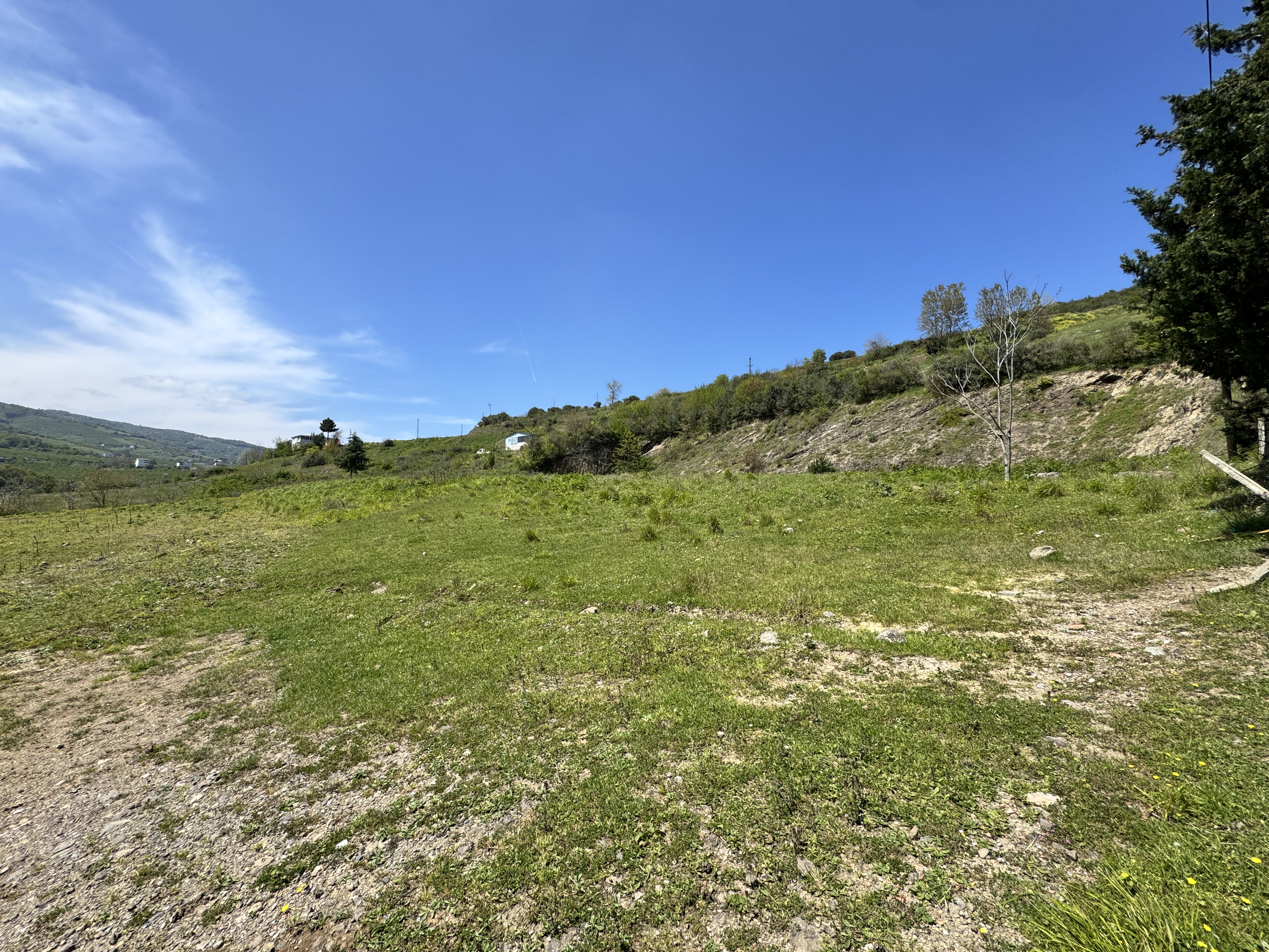 MABEL SAMSUN'DAN TAFLAN'DA YOLA CEPHE SATILIK TARLA