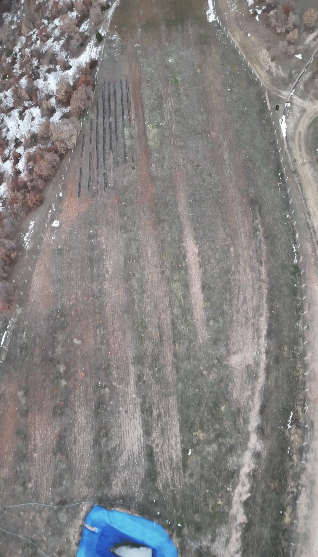 MABEL'DEN FIRSAT CEVİZLİK