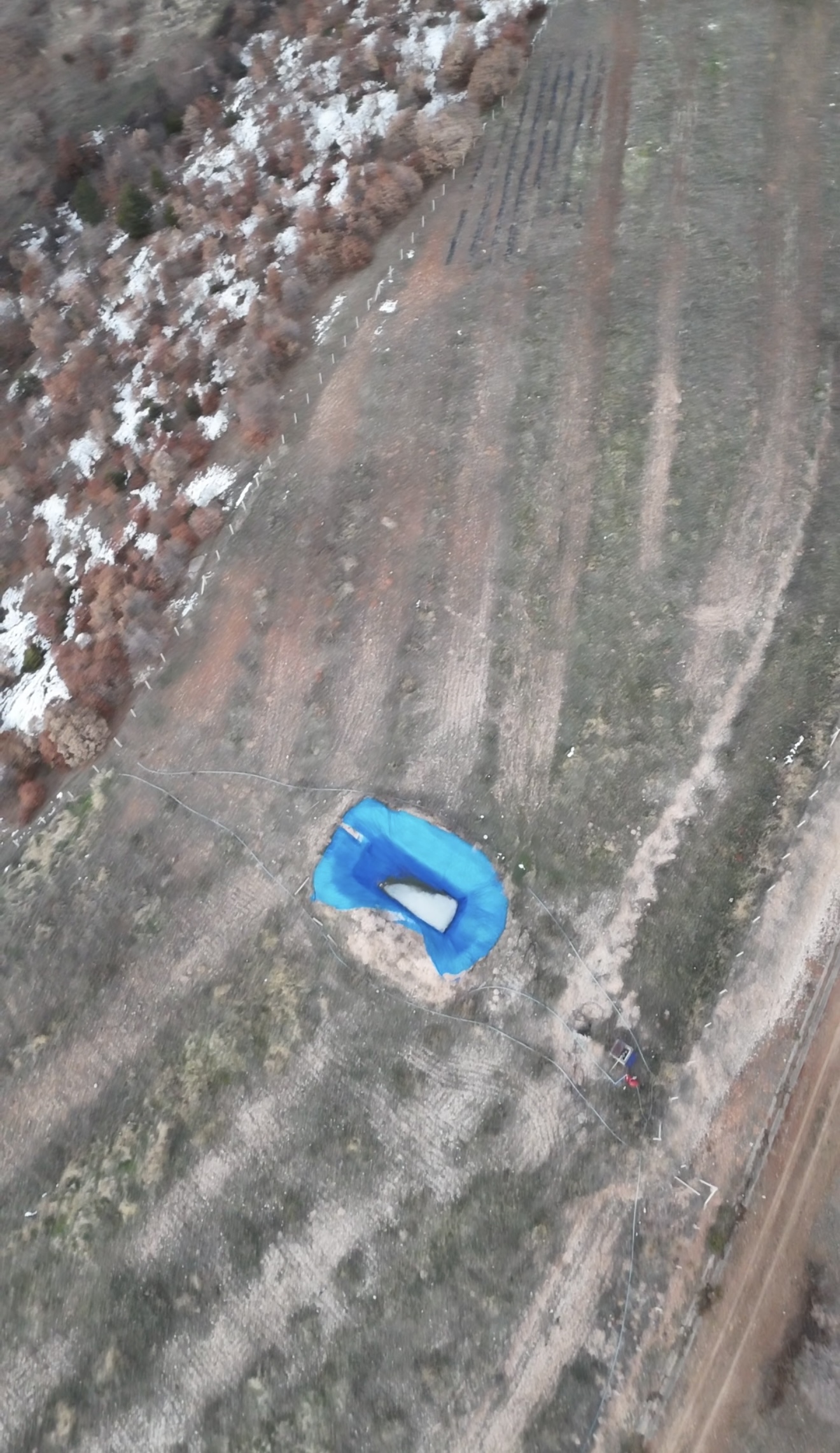 MABEL'DEN FIRSAT CEVİZLİK