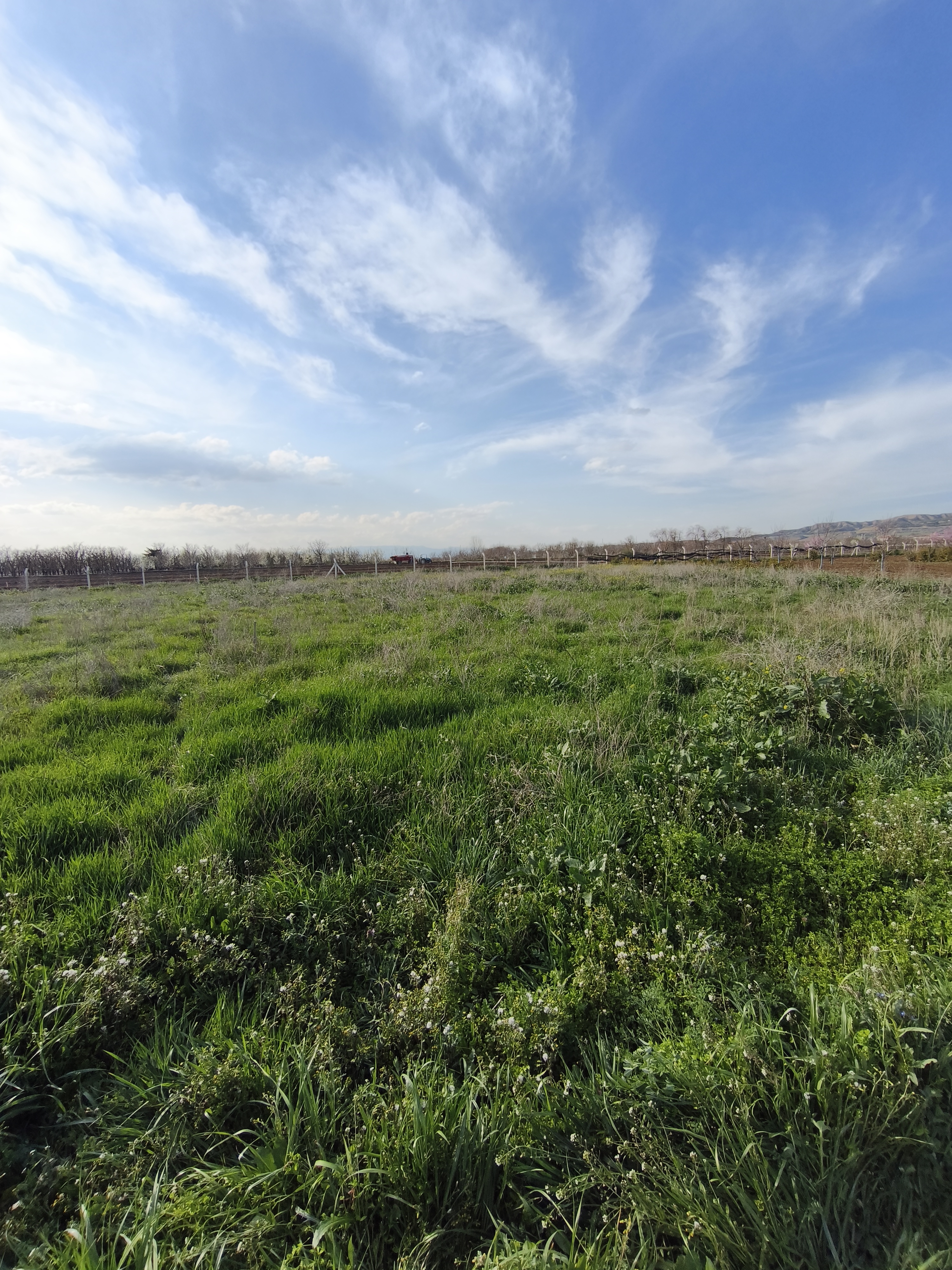 MABELDEN FIRSAT YATIRIMLIK ARSA