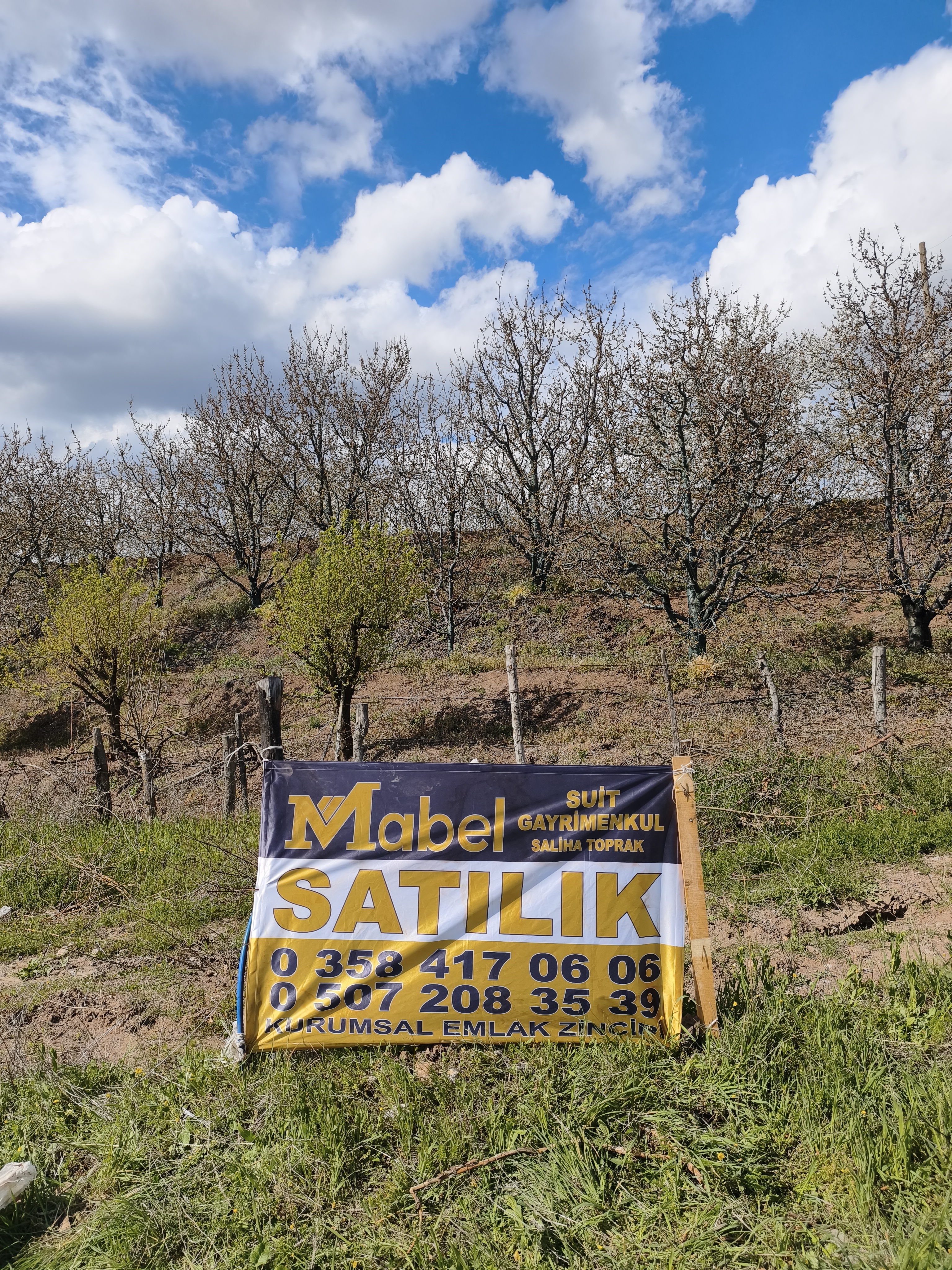 MABELDEN FIRSAT GENÇ YAŞTA KİRAZ BAHÇESİ