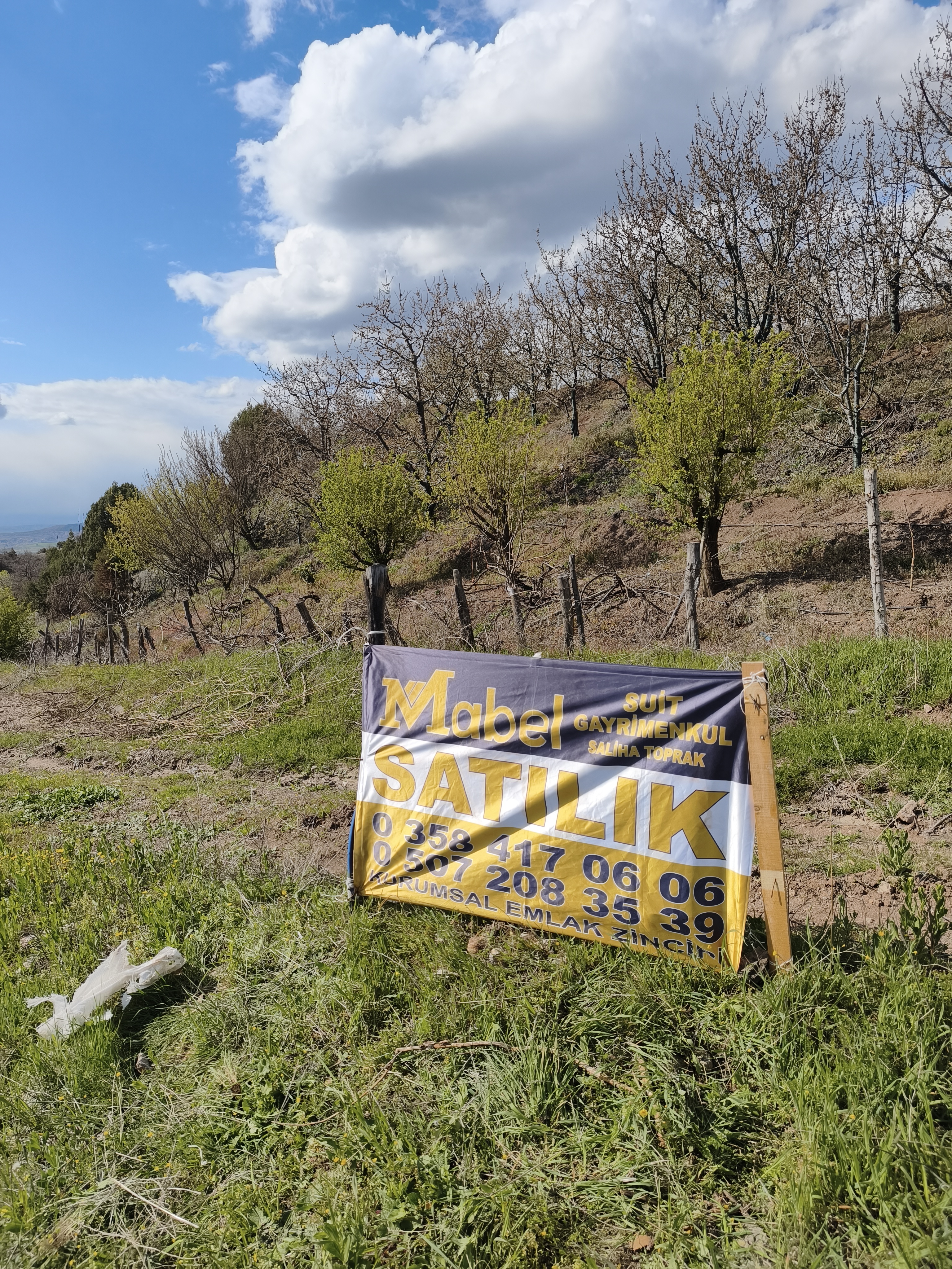 MABELDEN FIRSAT GENÇ YAŞTA KİRAZ BAHÇESİ