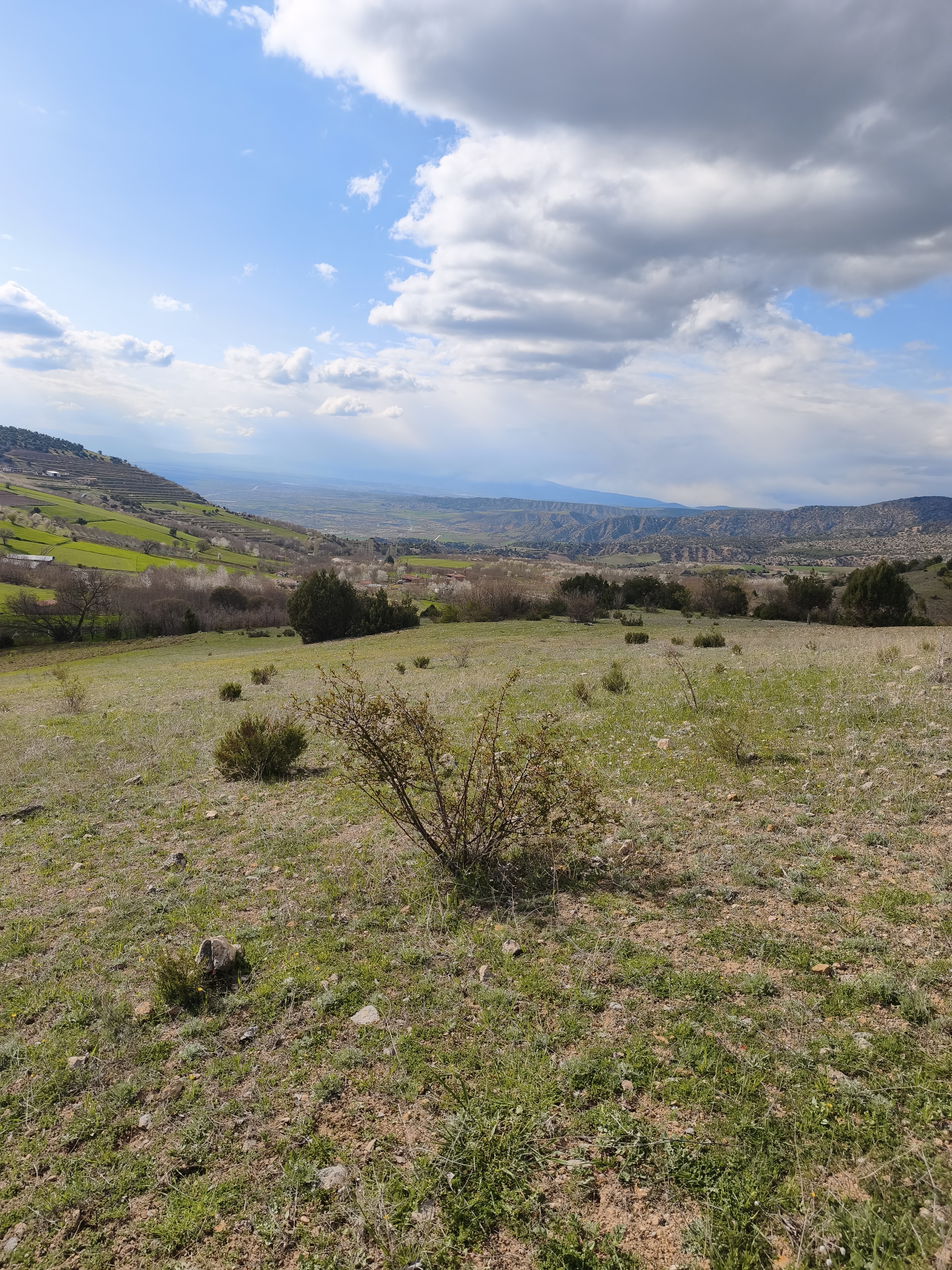 MABELDEN YATIRIMLIK AMASYA SULUOVA MERZİFON MANZARALI TARLA