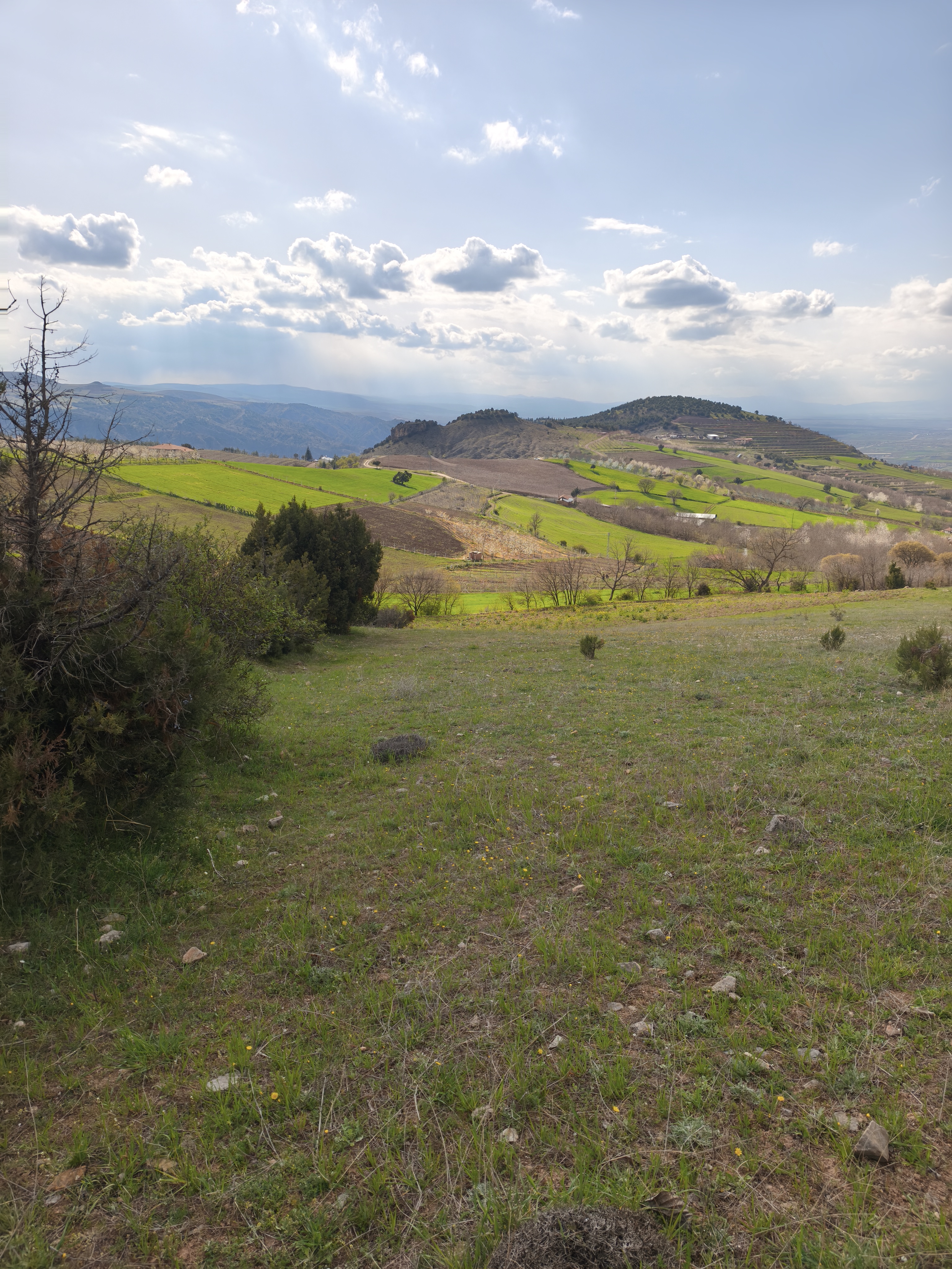 MABELDEN YATIRIMLIK AMASYA SULUOVA MERZİFON MANZARALI TARLA