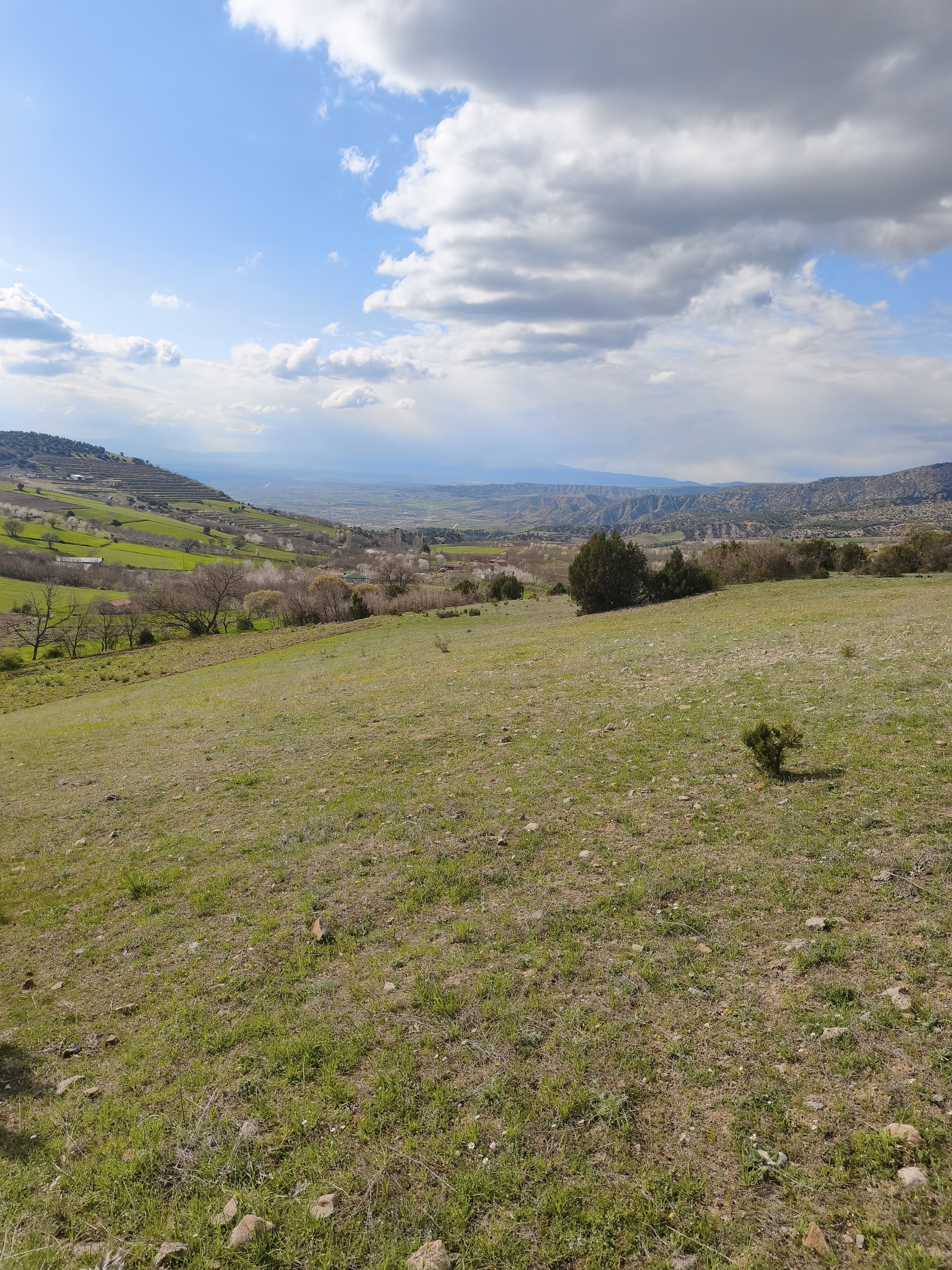 MABELDEN YATIRIMLIK AMASYA SULUOVA MERZİFON MANZARALI TARLA