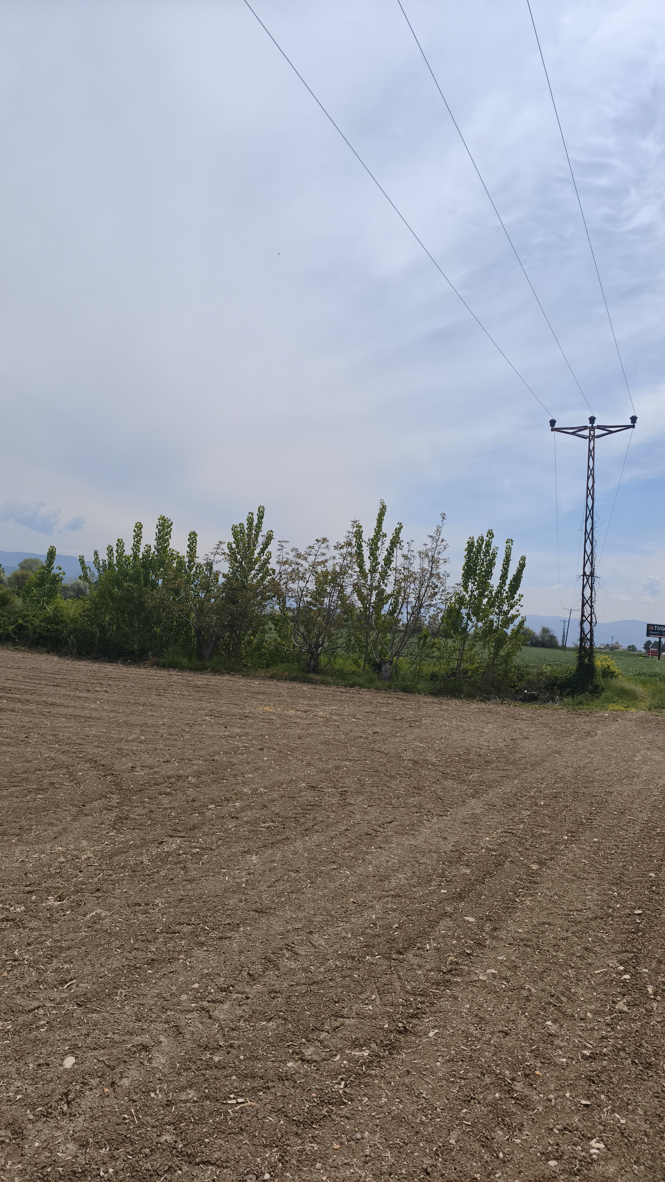 MABELDEN FIRSAT AMASYA ANA YOLUNA SIFIR TARLA