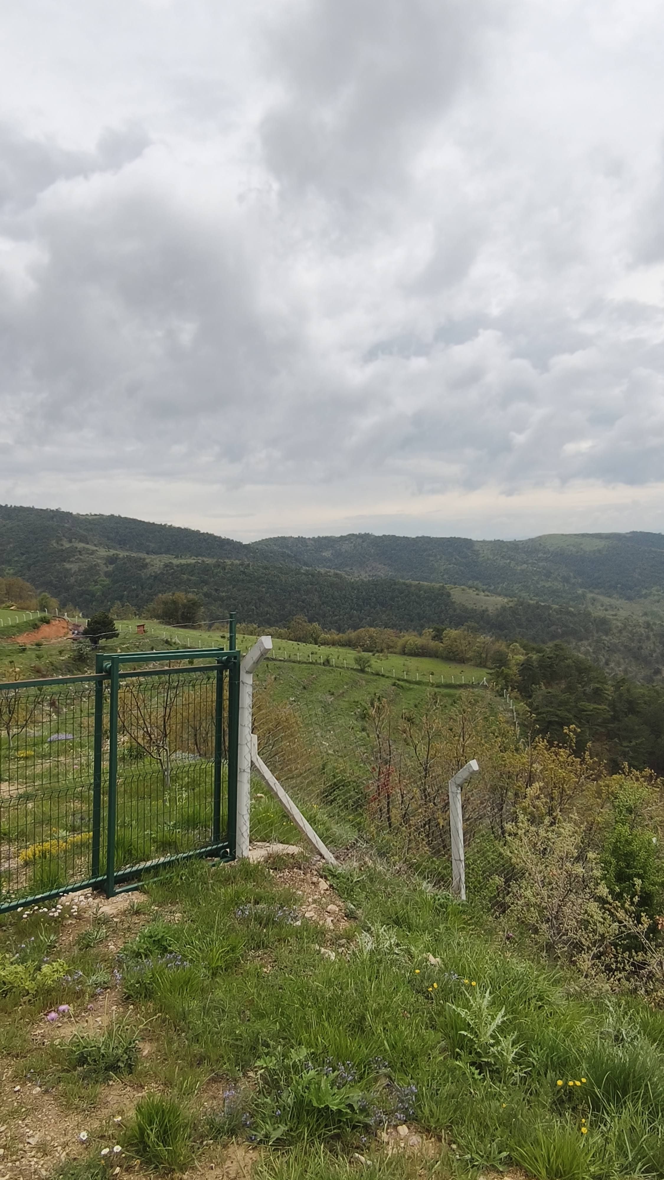 MABELDEN DOĞA İLE İÇ İÇE CEVİZ BAHÇESİ