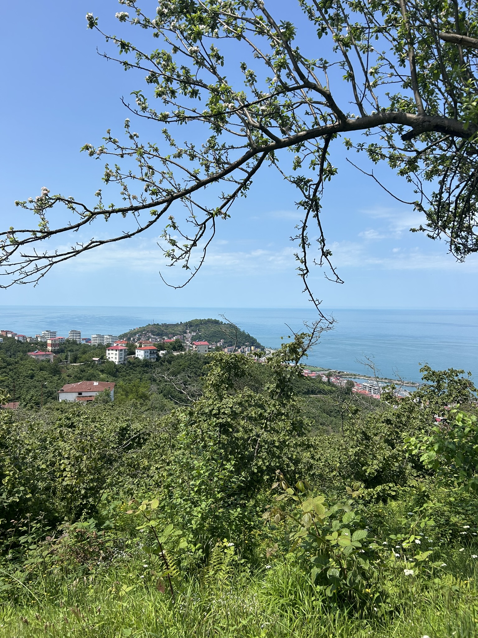 KAVAKLAR MAHALLESİ DENİZ MANZARALI ARSALAR