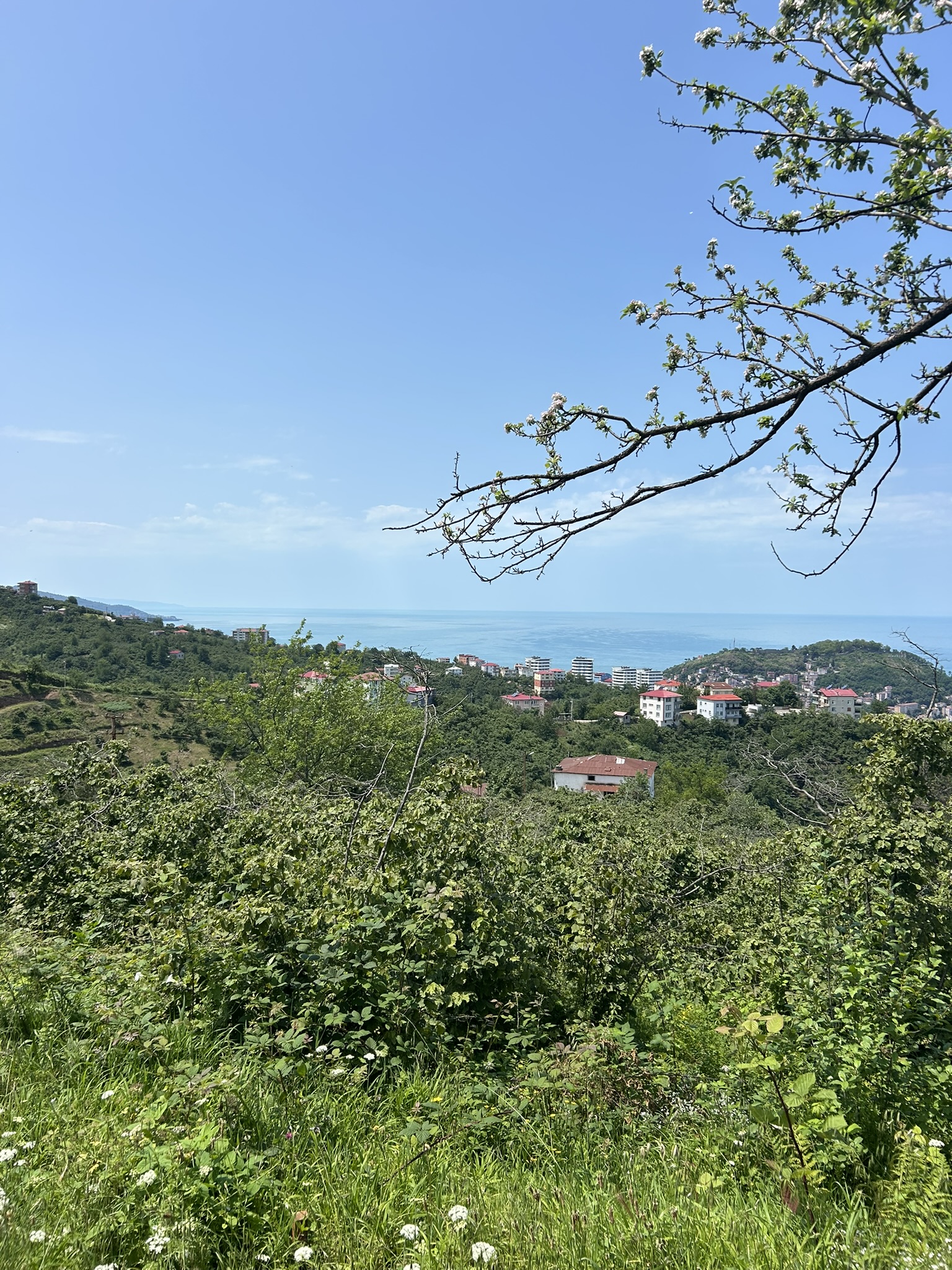 KAVAKLAR MAHALLESİ DENİZ MANZARALI ARSALAR