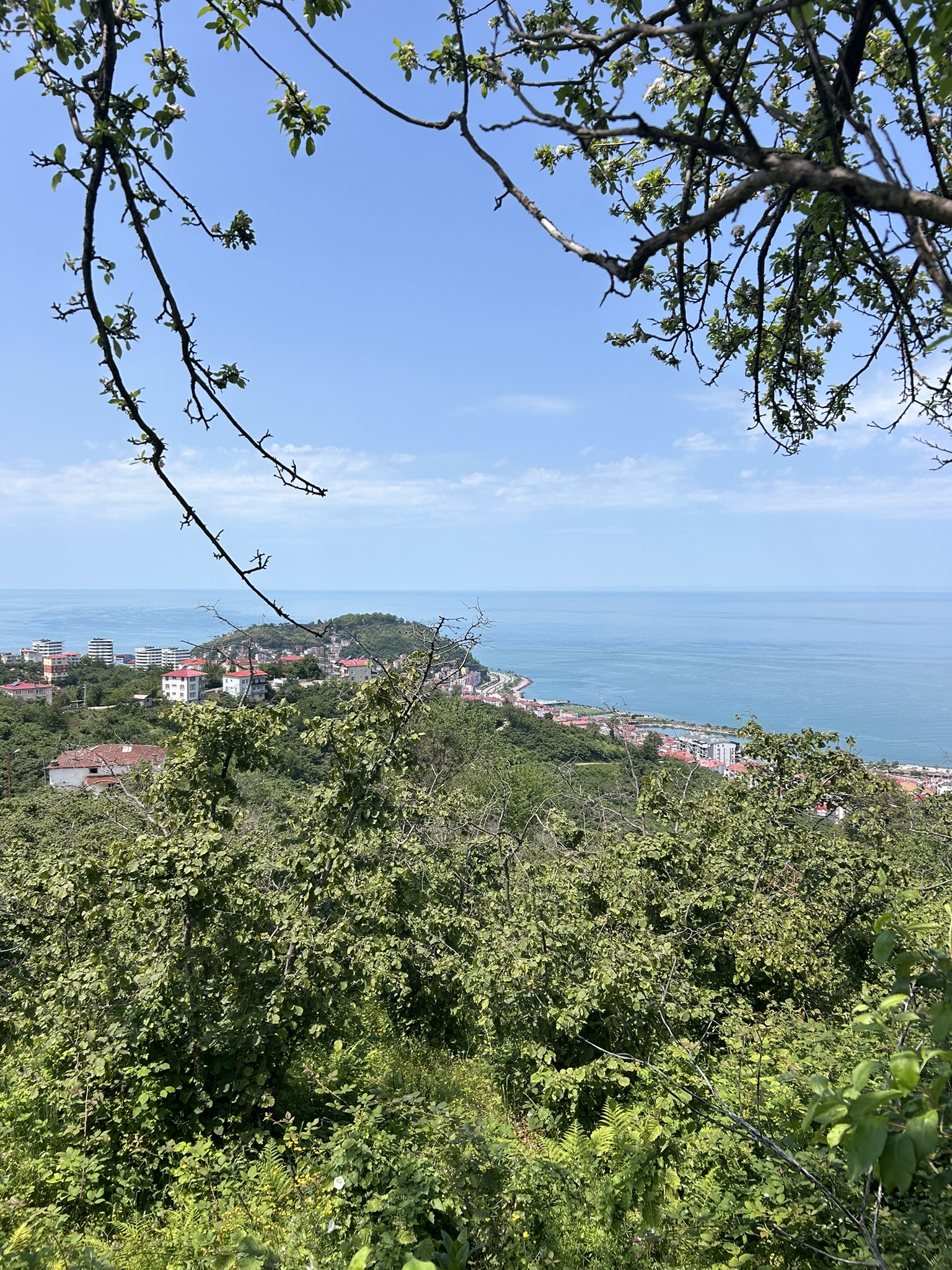 KAVAKLAR MAHALLESİ DENİZ MANZARALI ARSALAR