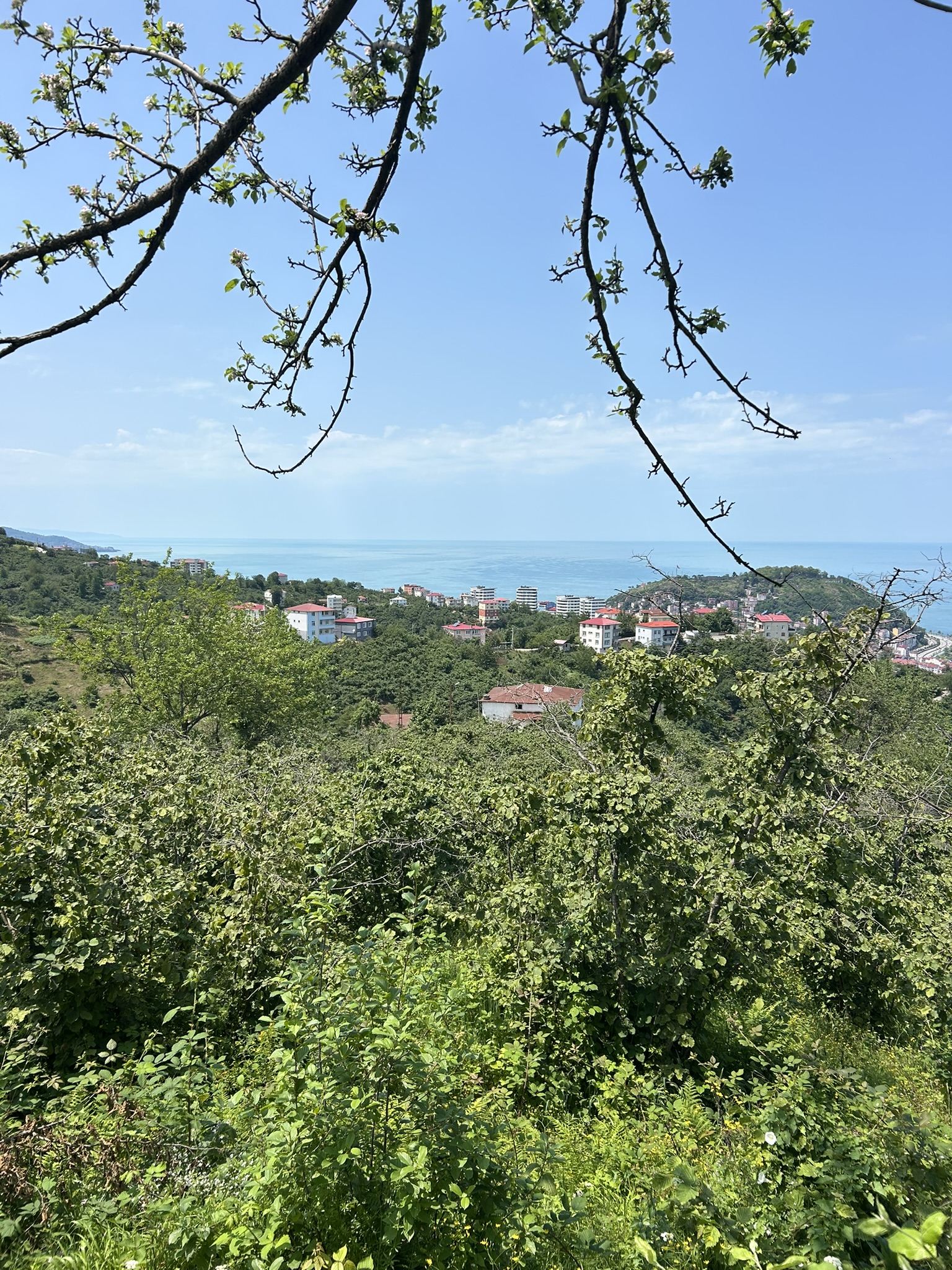 KAVAKLAR MAHALLESİ DENİZ MANZARALI ARSALAR