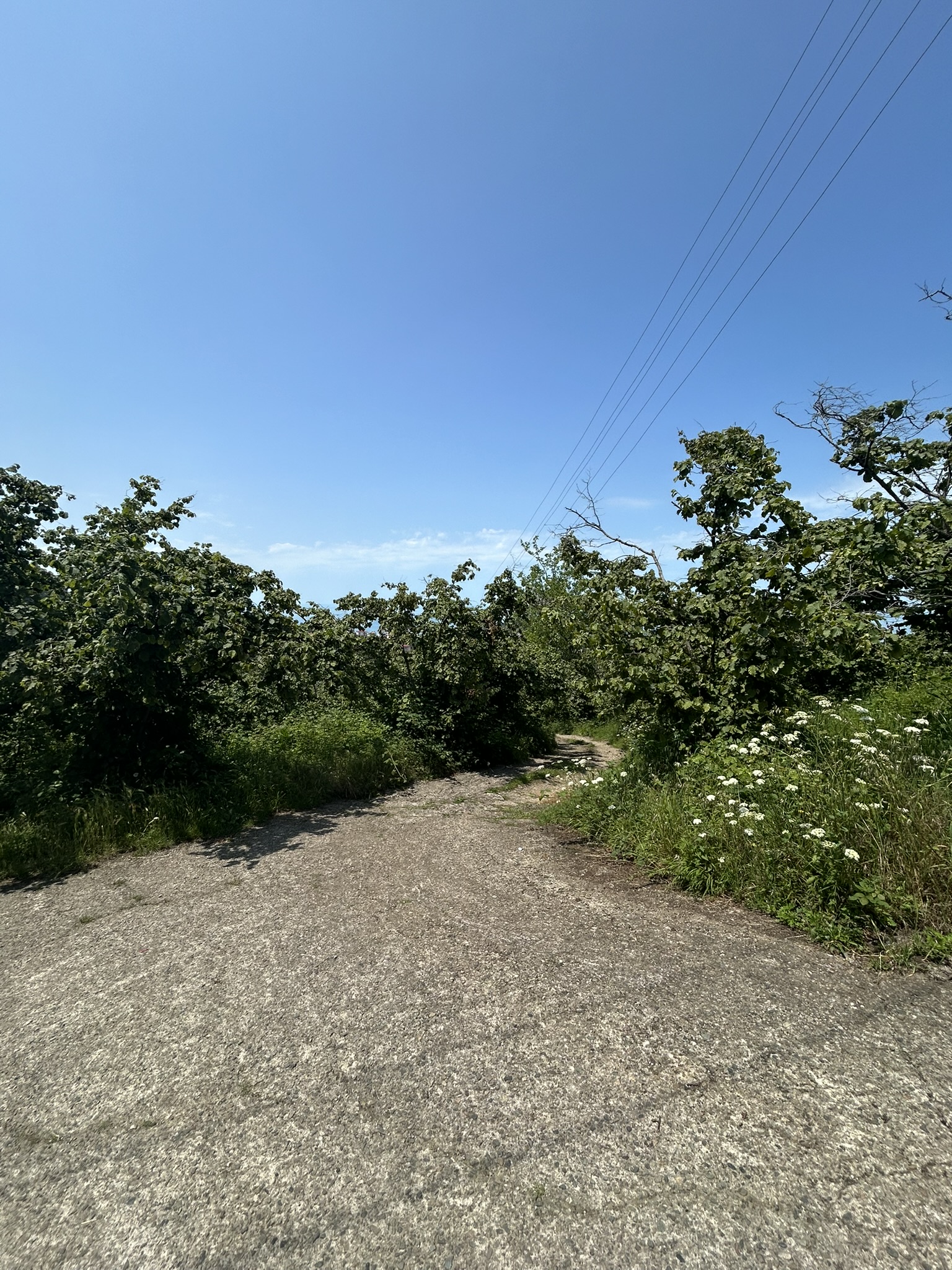 KAVAKLAR MAHALLESİ DENİZ MANZARALI ARSALAR