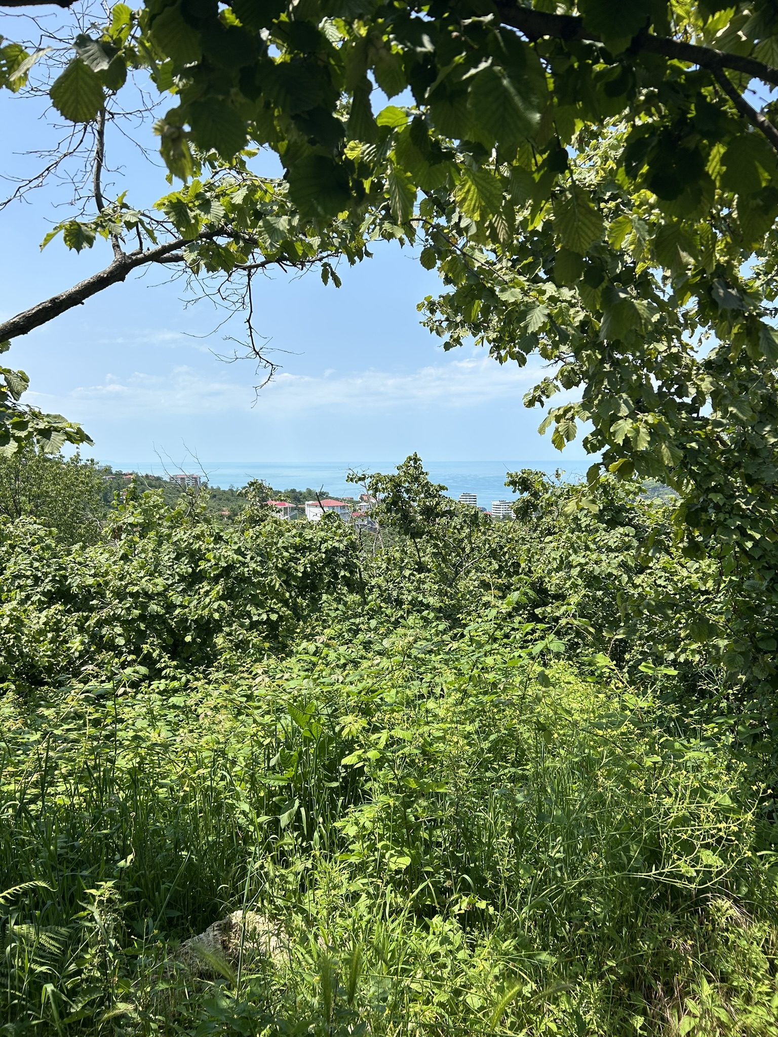 KAVAKLAR MAHALLESİ DENİZ MANZARALI ARSALAR