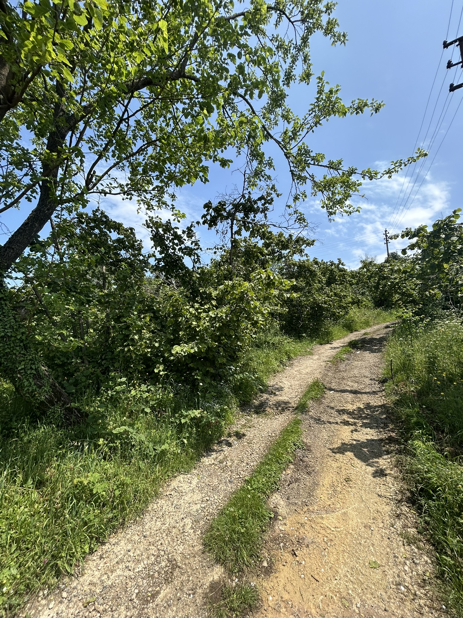KAVAKLAR MAHALLESİ DENİZ MANZARALI ARSALAR