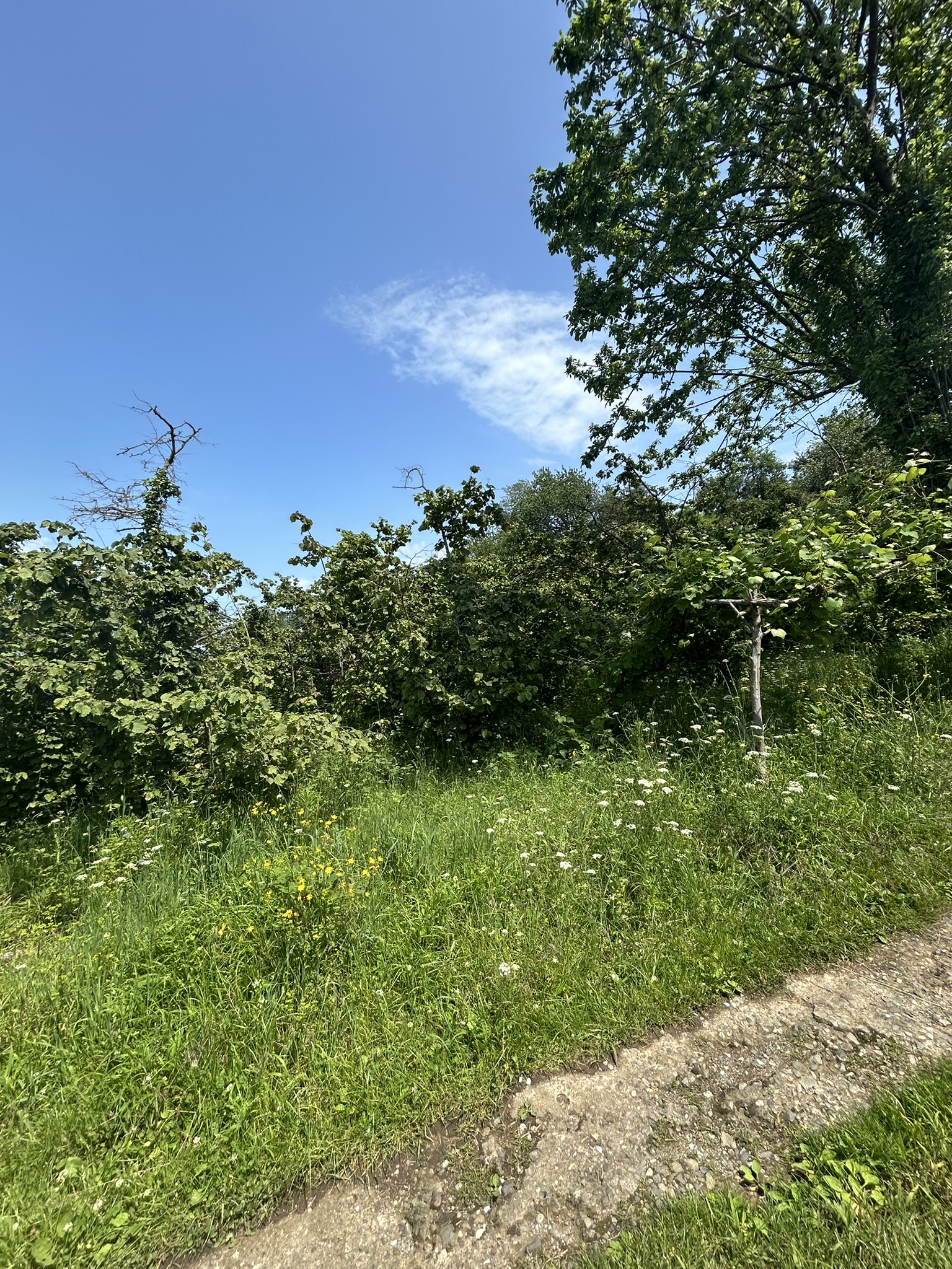 KAVAKLAR MAHALLESİ DENİZ MANZARALI ARSALAR