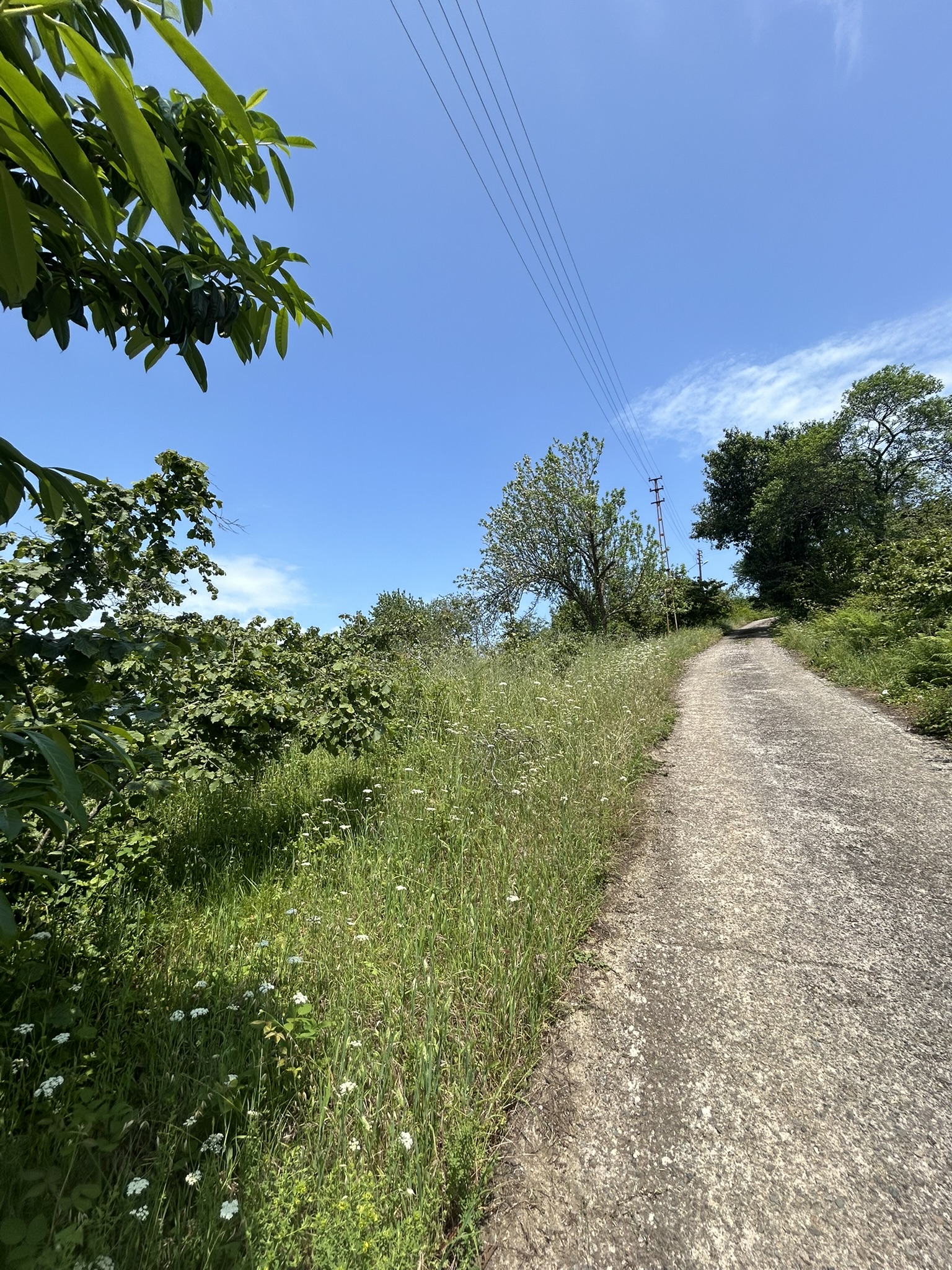 KAVAKLAR MAHALLESİ DENİZ MANZARALI ARSALAR