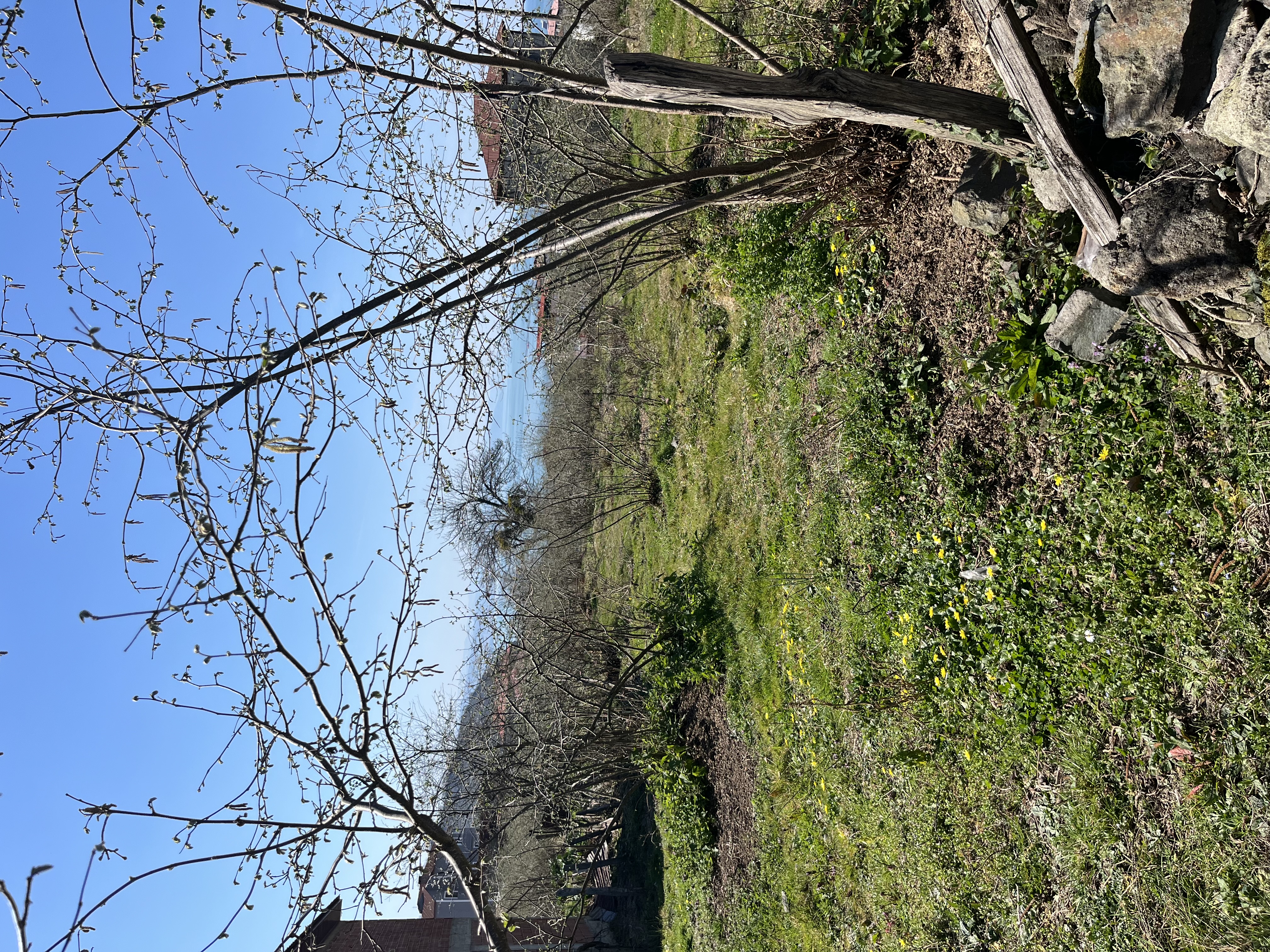 DÜZKÖY SATILIK BUNGALOV