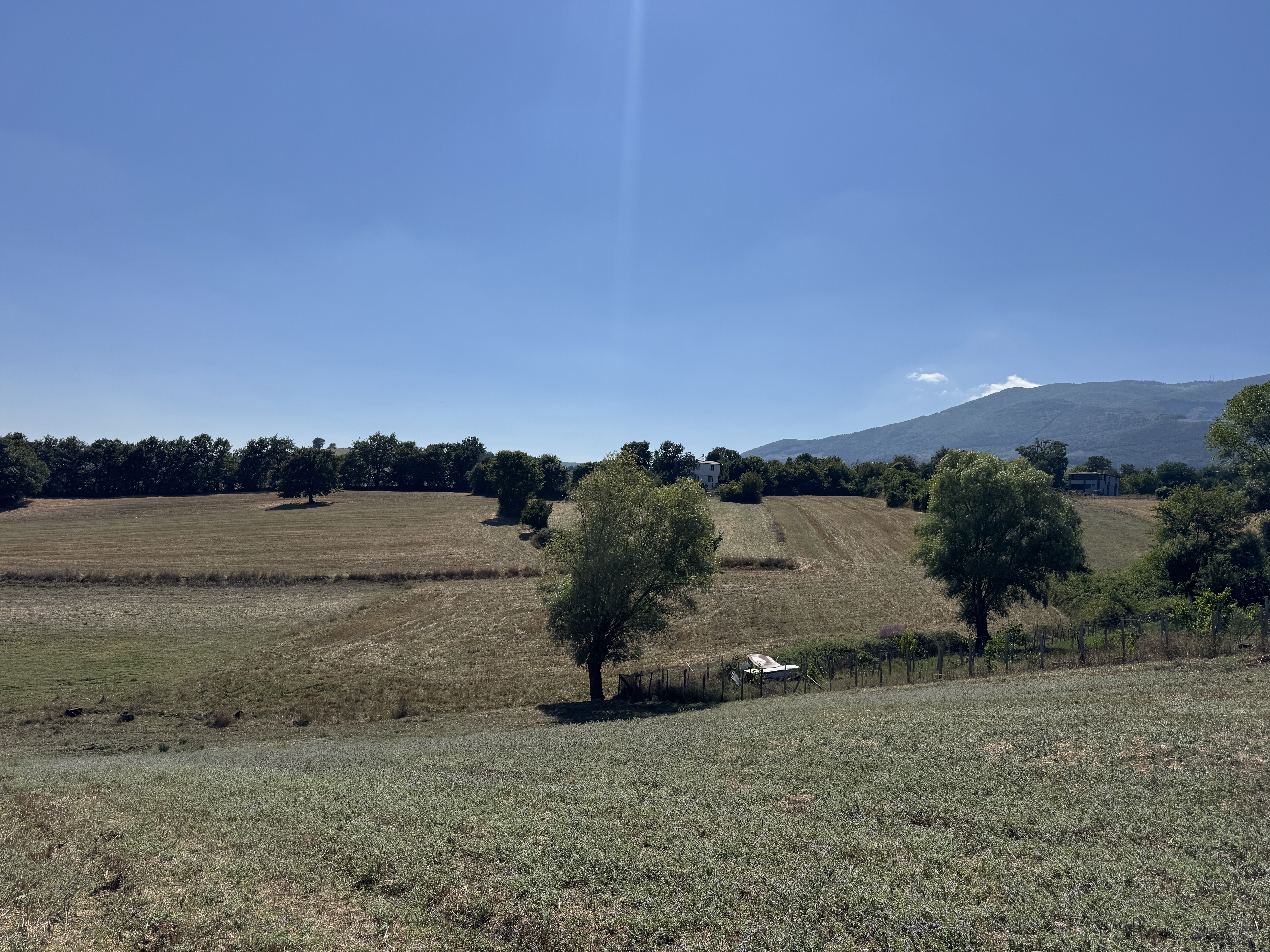 ATAKUM MEYVALIDA YATIRIMLIK TARLA