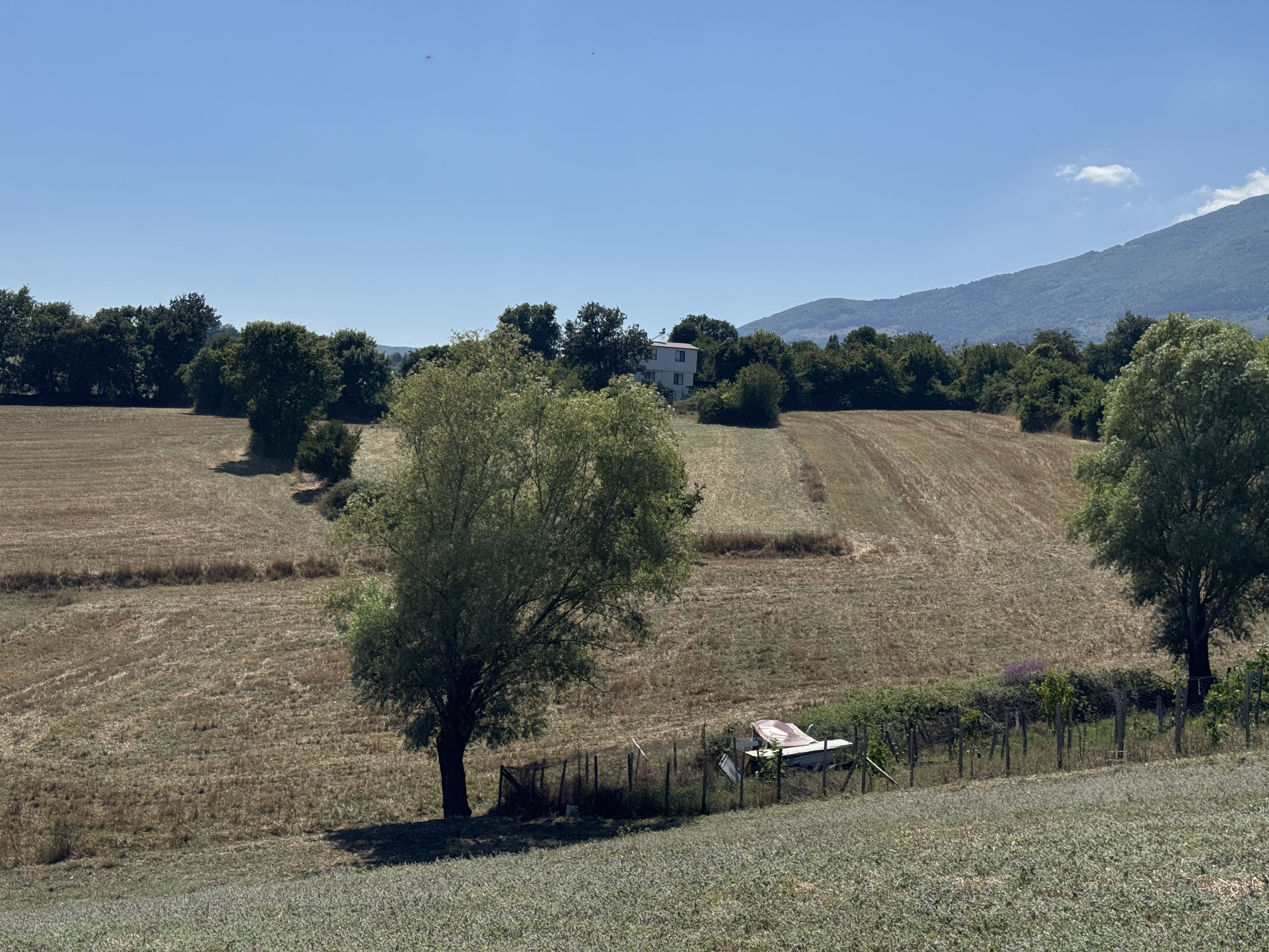 ATAKUM MEYVALIDA YATIRIMLIK TARLA