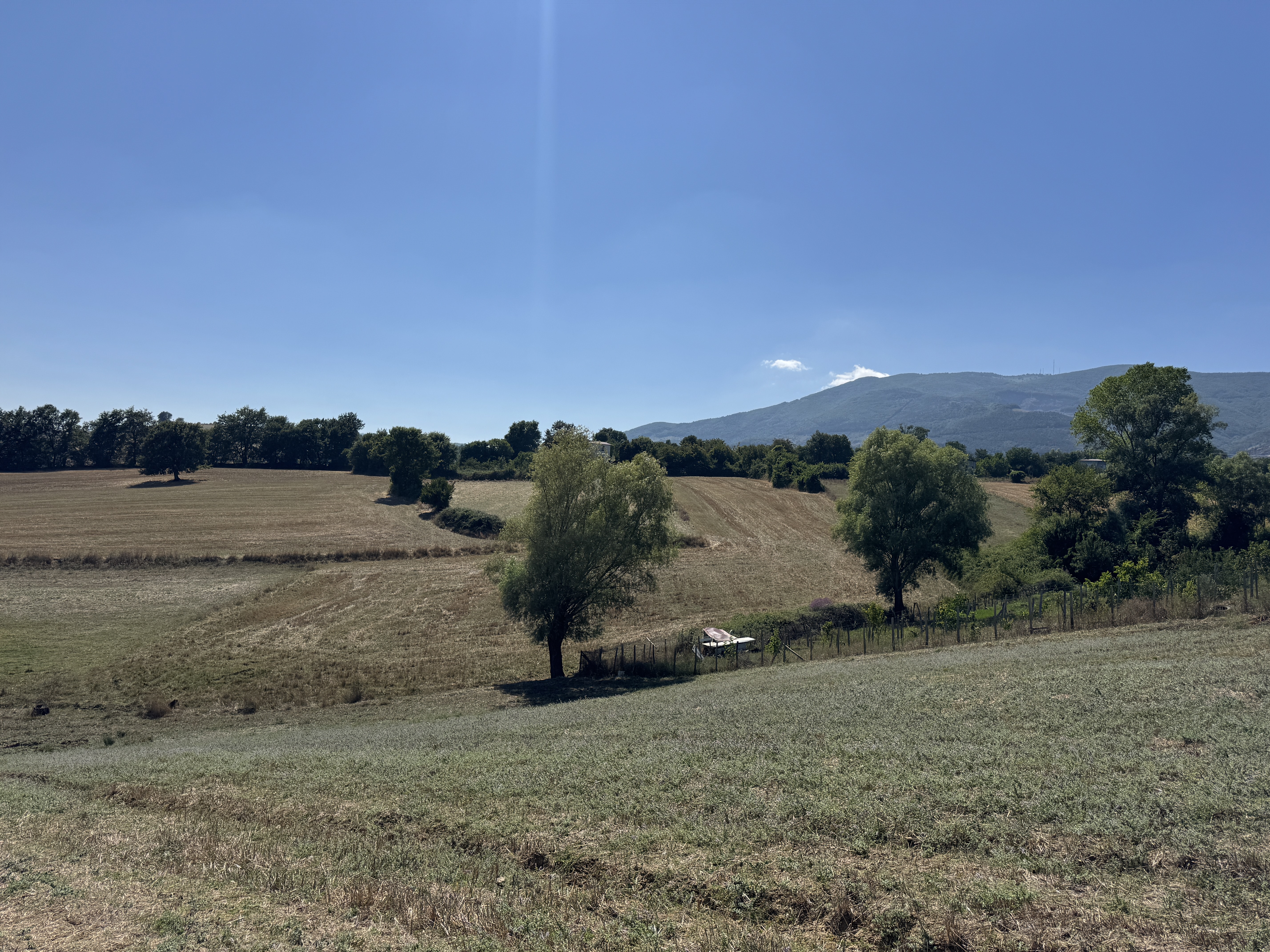 ATAKUM MEYVALIDA YATIRIMLIK TARLA