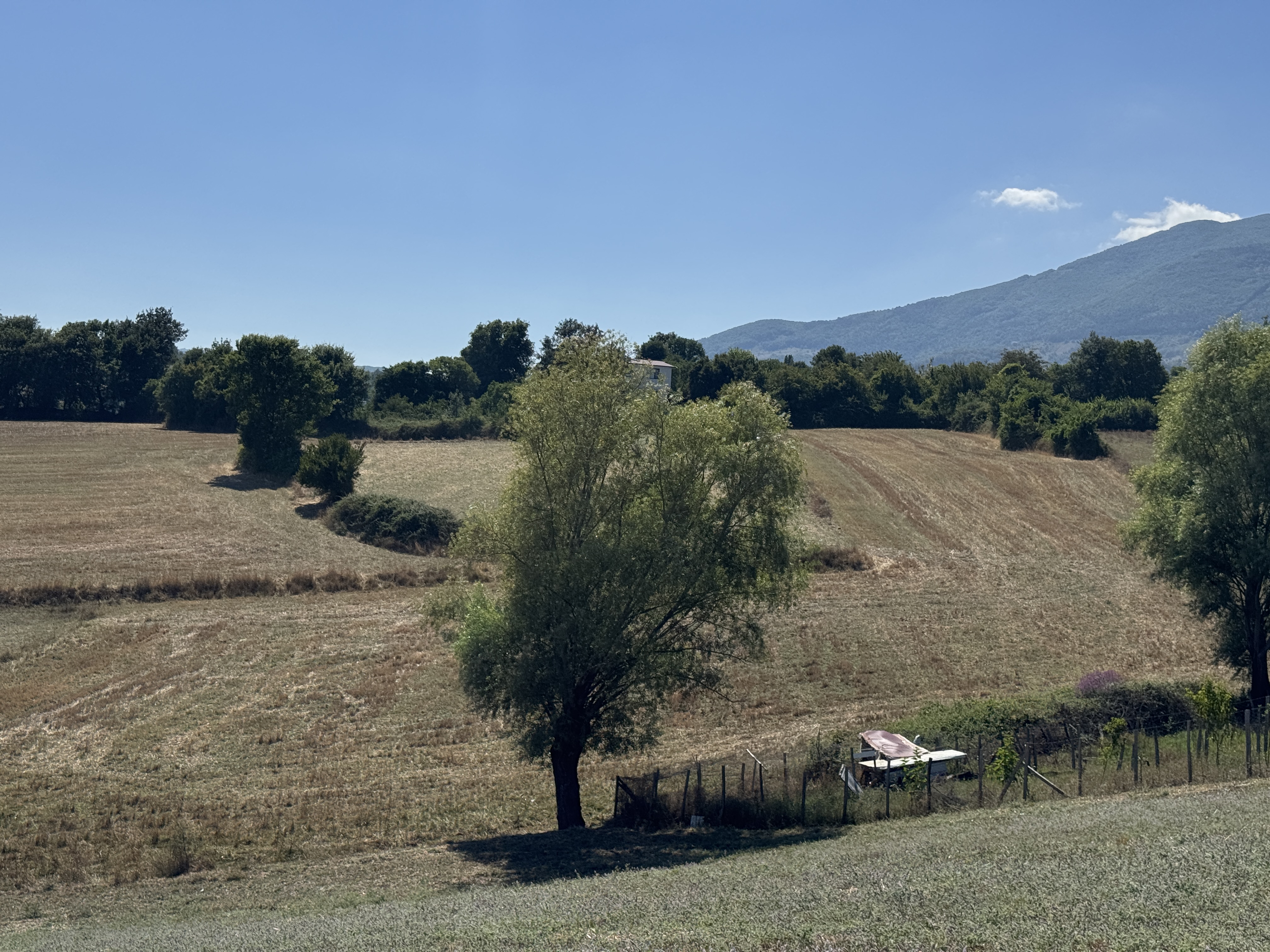 ATAKUM MEYVALIDA YATIRIMLIK TARLA