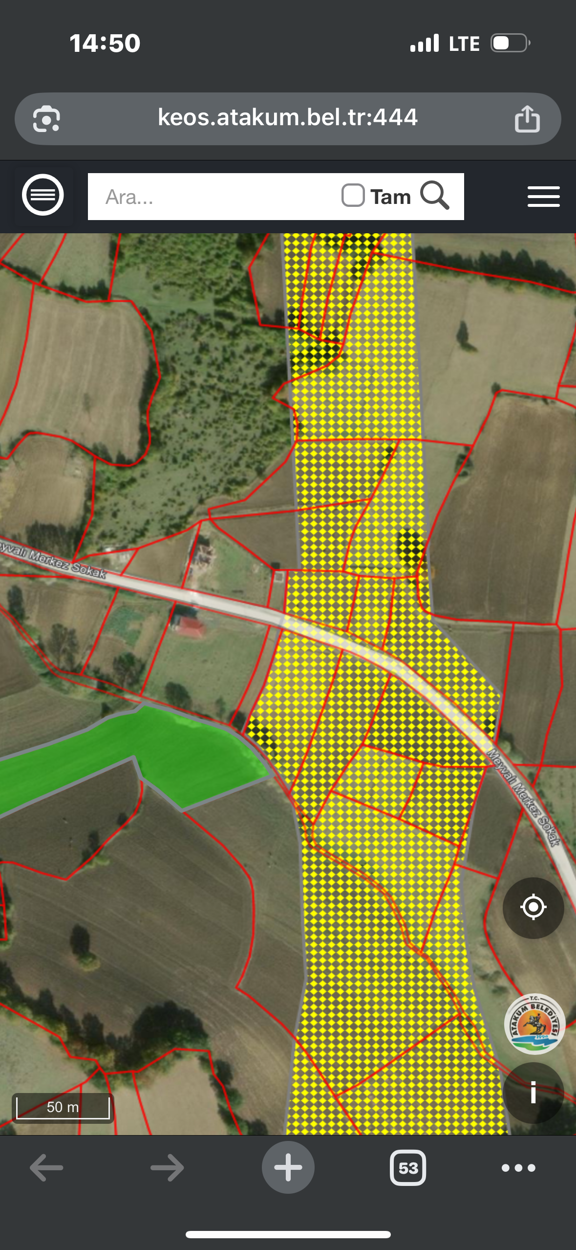 ATAKUM MEYVALIDA YATIRIMLIK TARLA