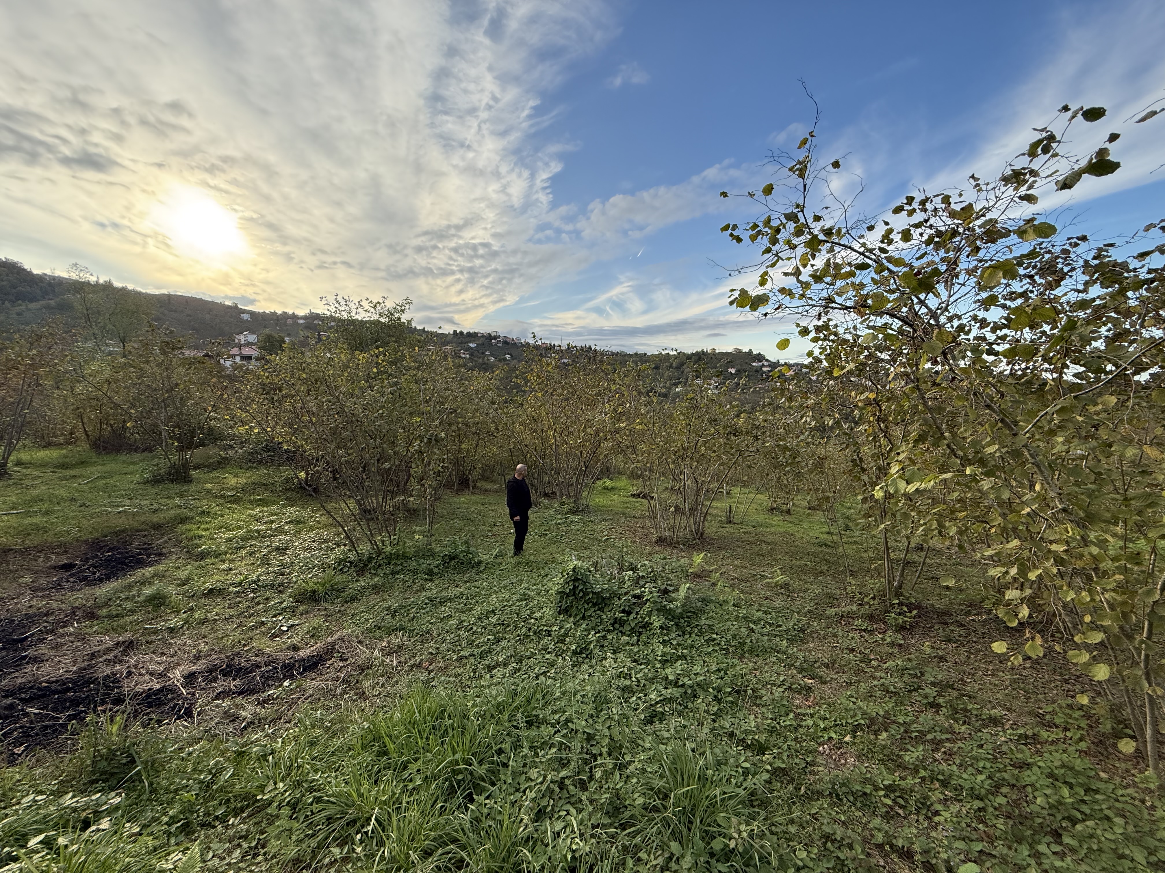 ARSİN DE SATILIK 6022 M2 ARSA