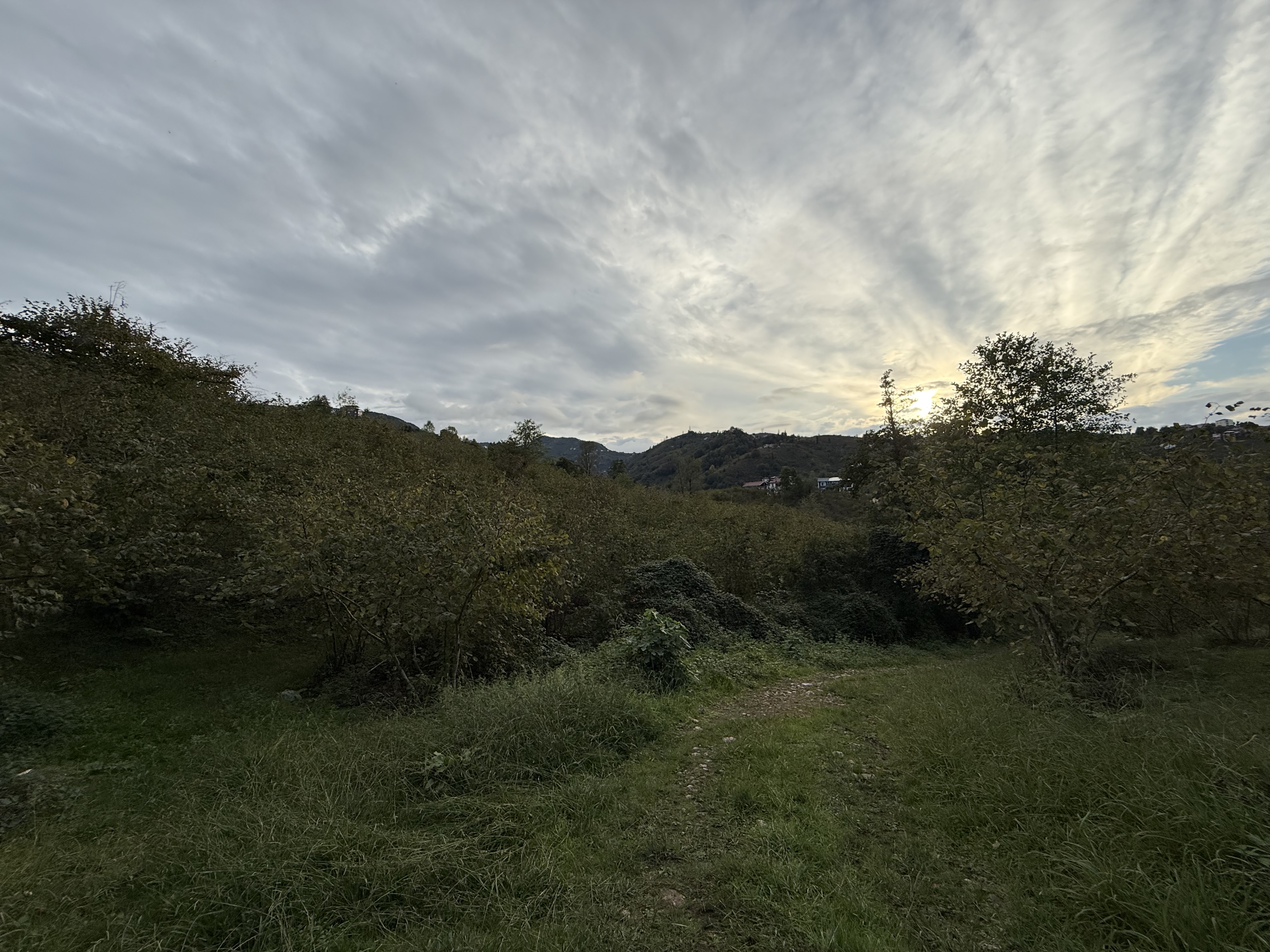 ARSİN DE SATILIK 2233 M2 ARSA