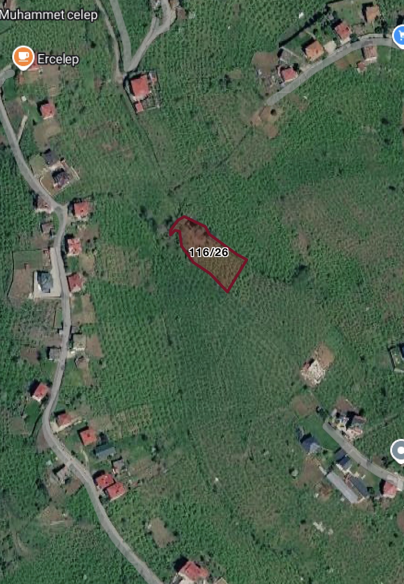 BULAK DA SATILIK 2285 M2 FINDIK BAHÇESİ
