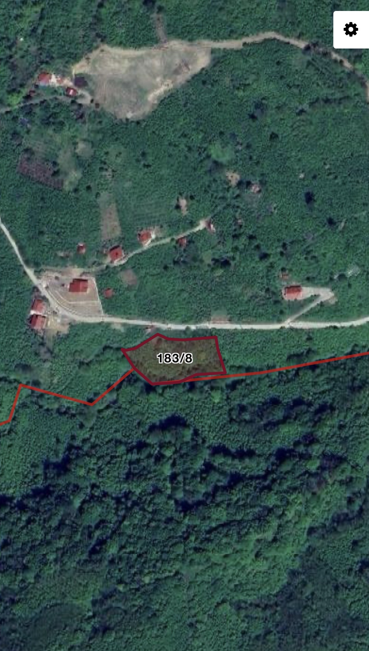 PERŞEMBE BABALI’DA FINDIK BAHÇESİ