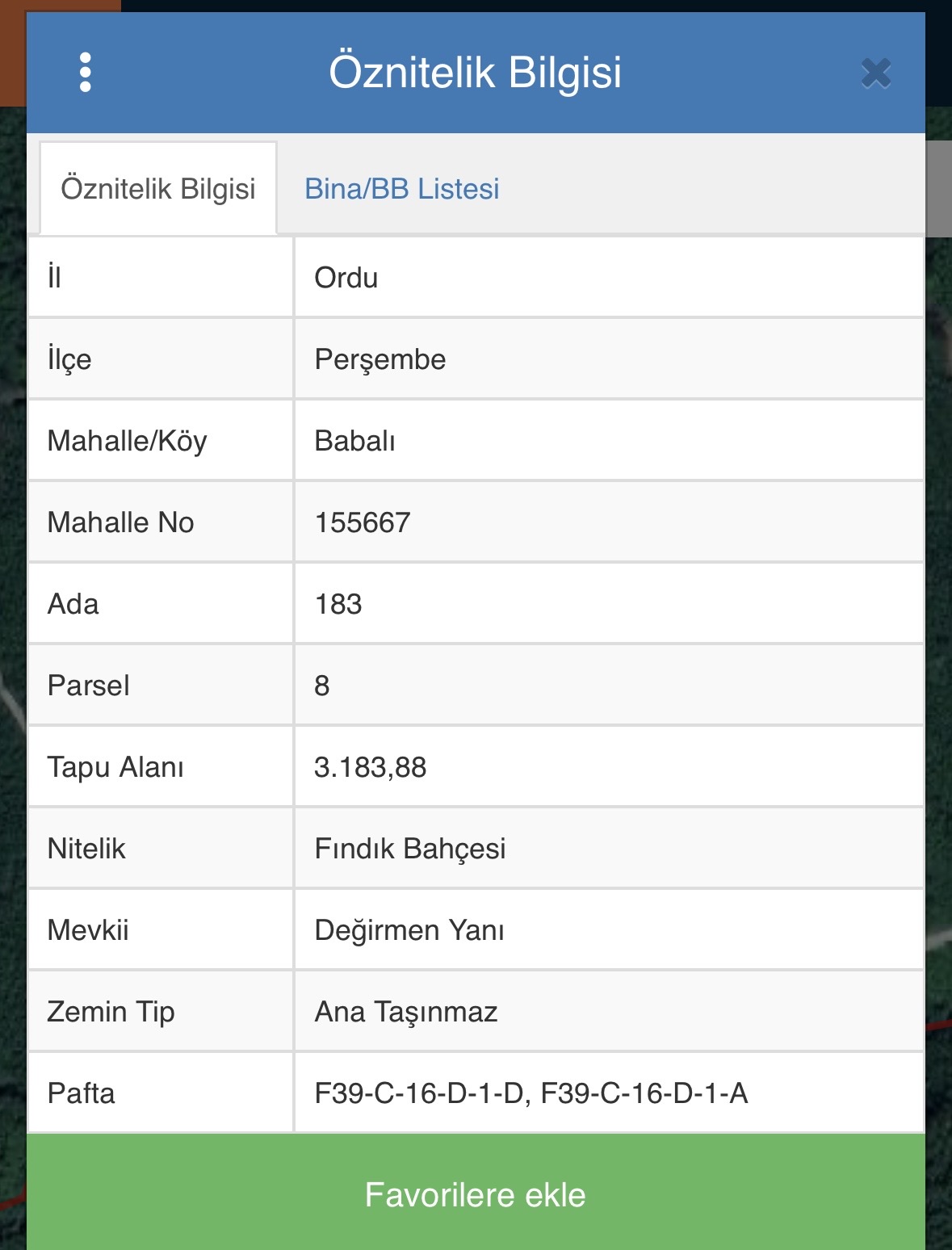 PERŞEMBE BABALI’DA FINDIK BAHÇESİ
