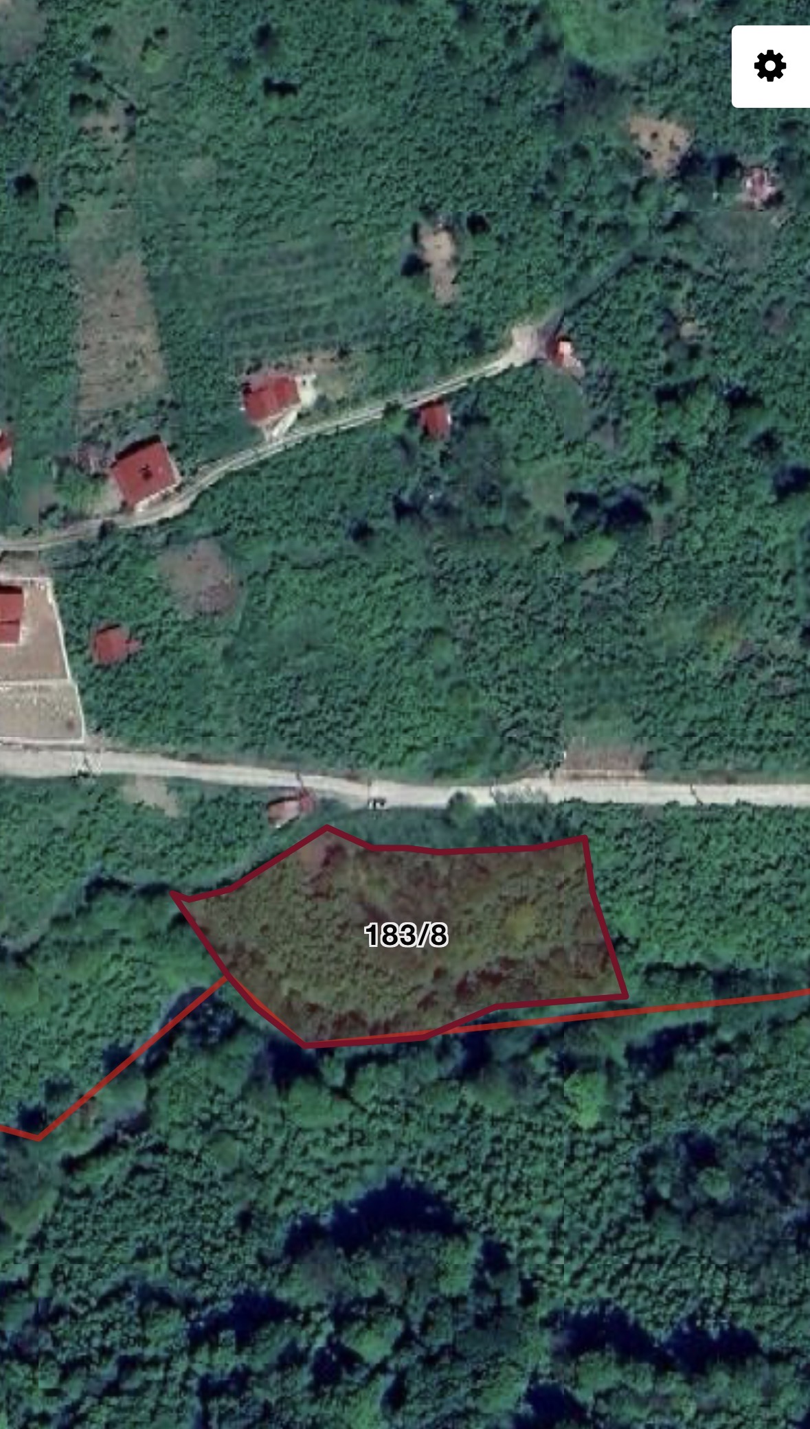 PERŞEMBE BABALI’DA FINDIK BAHÇESİ