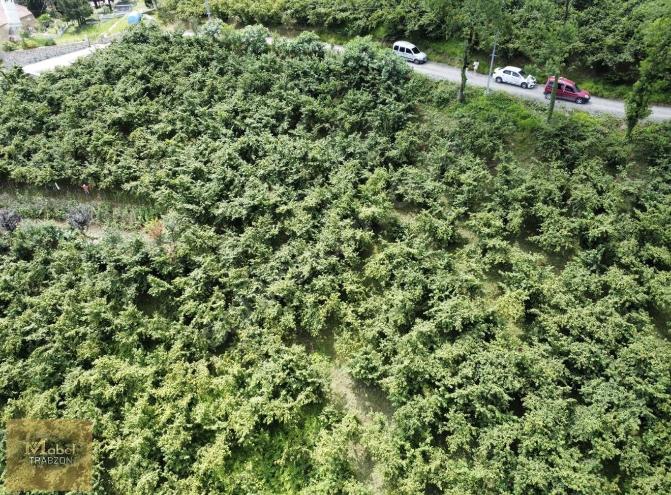 AKOLUK DA SATILIK 2516 M2 ARSA