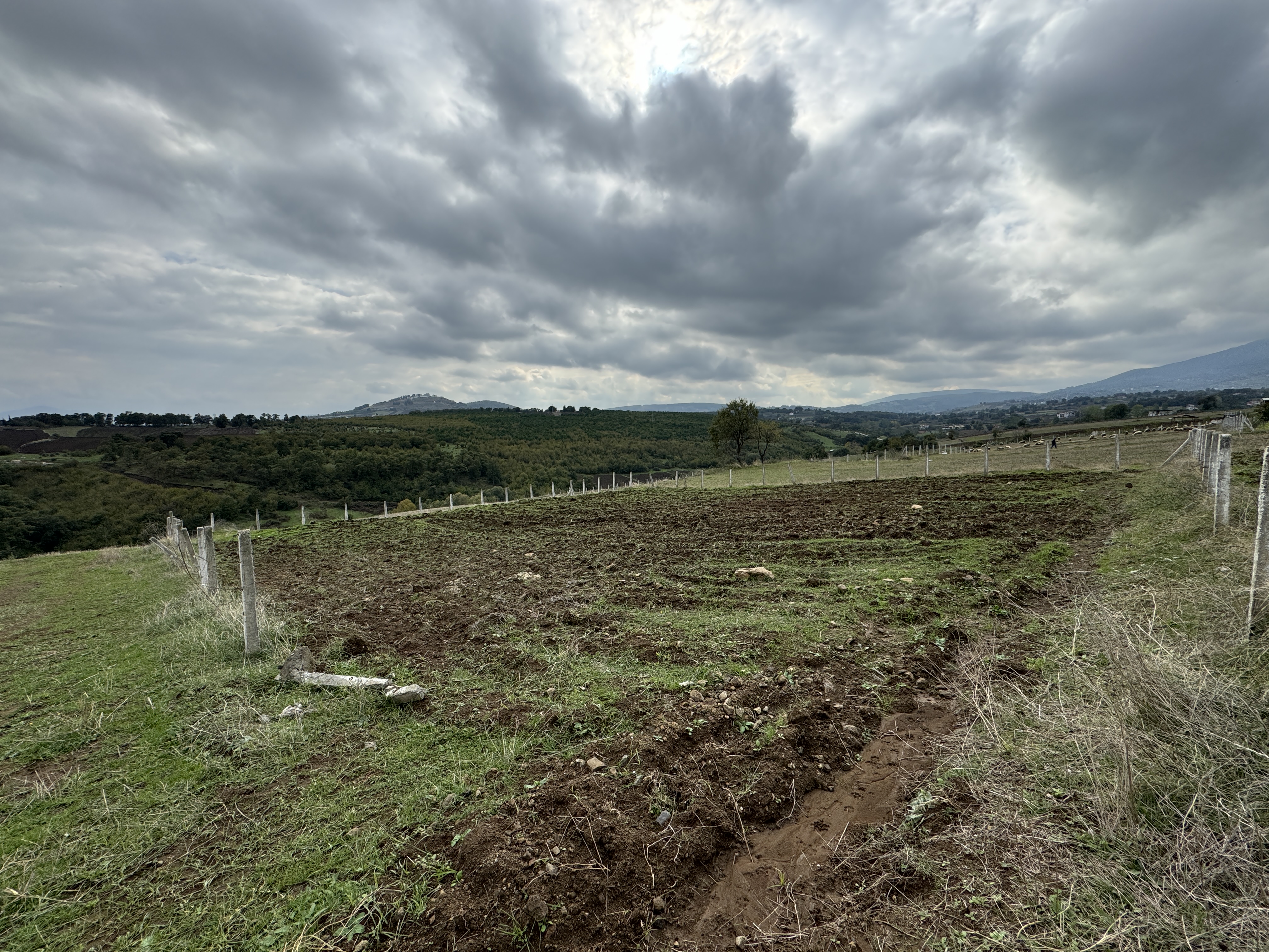 PAMUKLU BULVARINA 250M 5 KATA İMARLI ARSA