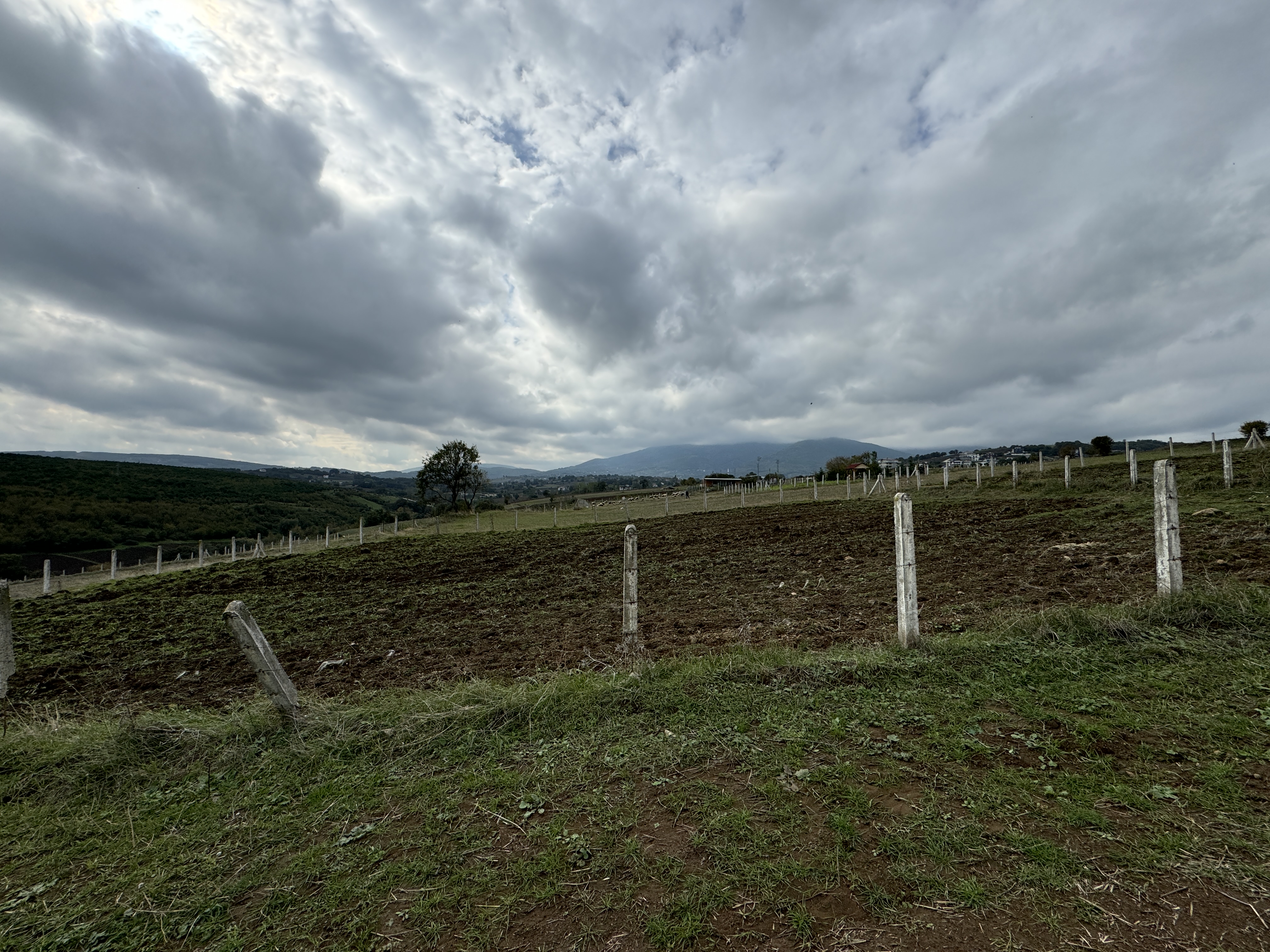 PAMUKLU BULVARINA 250M 5 KATA İMARLI ARSA