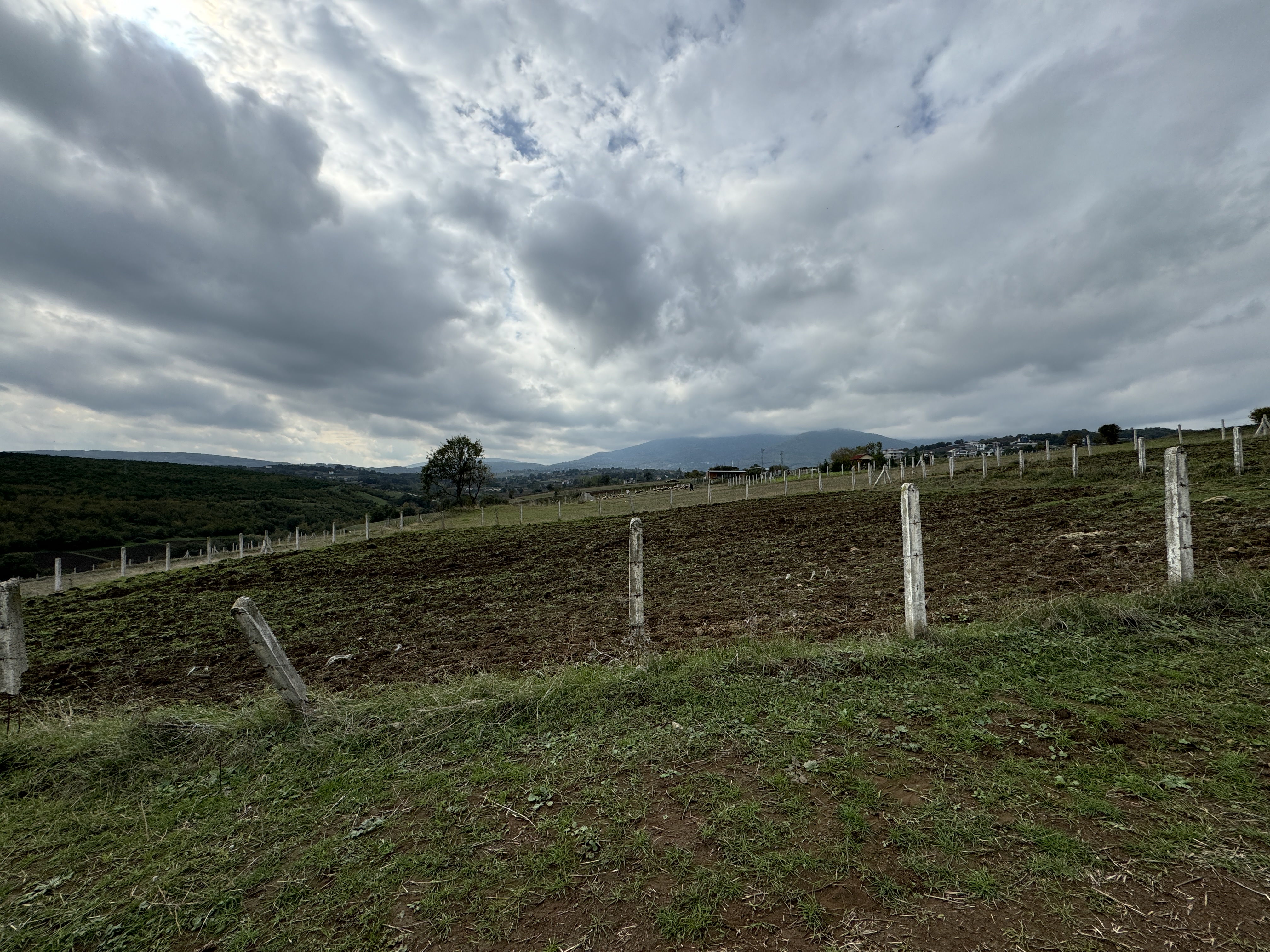 PAMUKLU BULVARINA 250M 5 KATA İMARLI ARSA