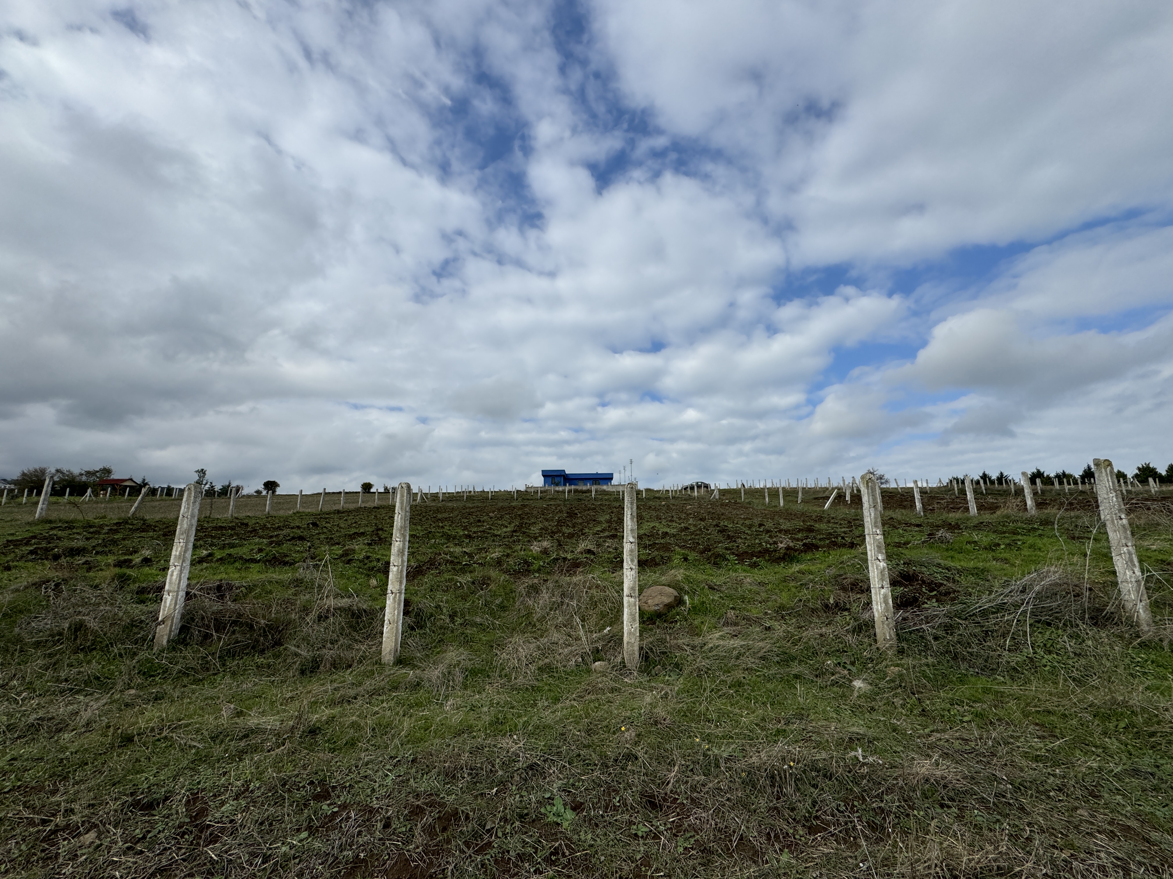 PAMUKLU BULVARINA 250M 5 KATA İMARLI ARSA