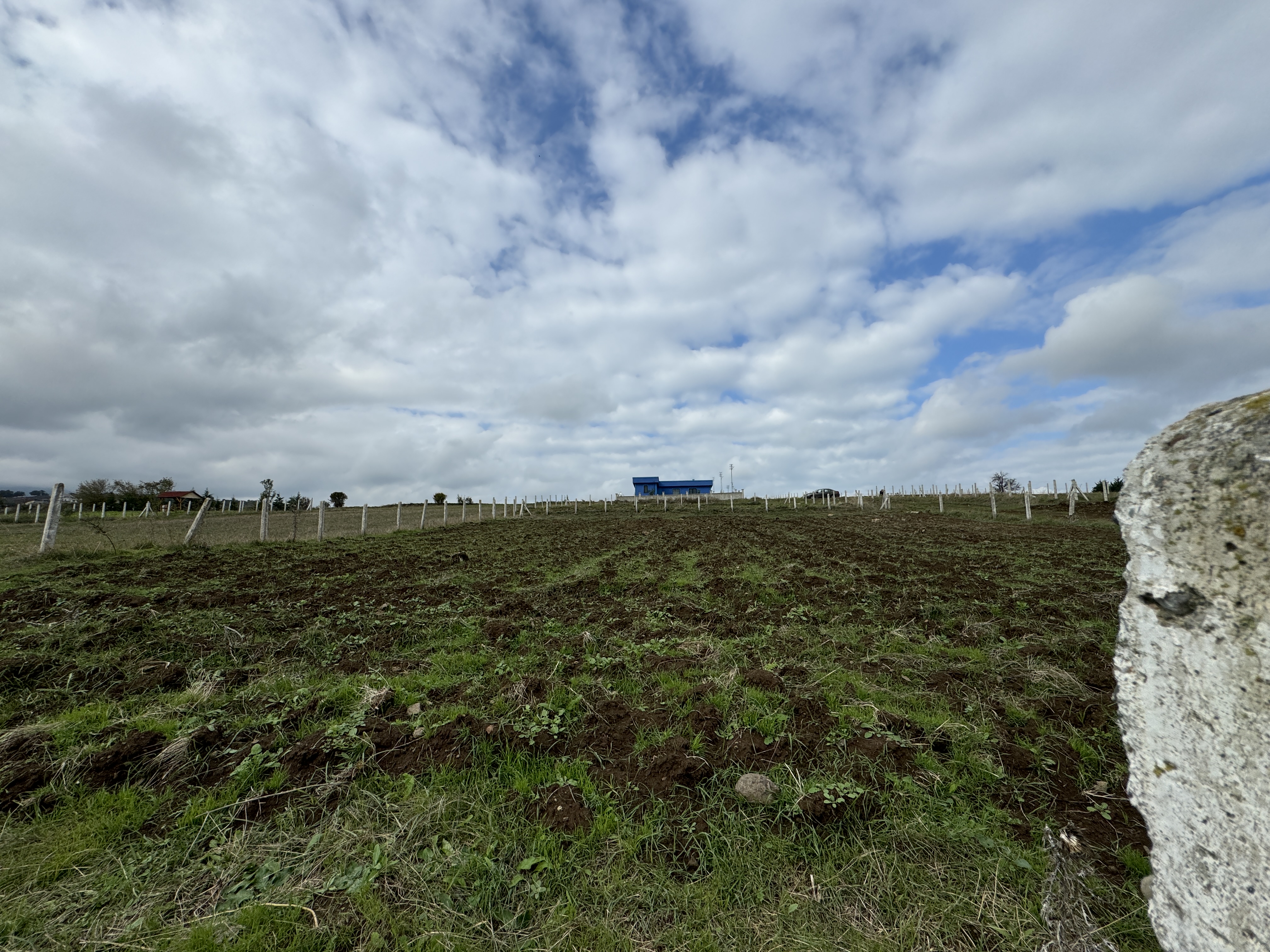 PAMUKLU BULVARINA 250M 5 KATA İMARLI ARSA