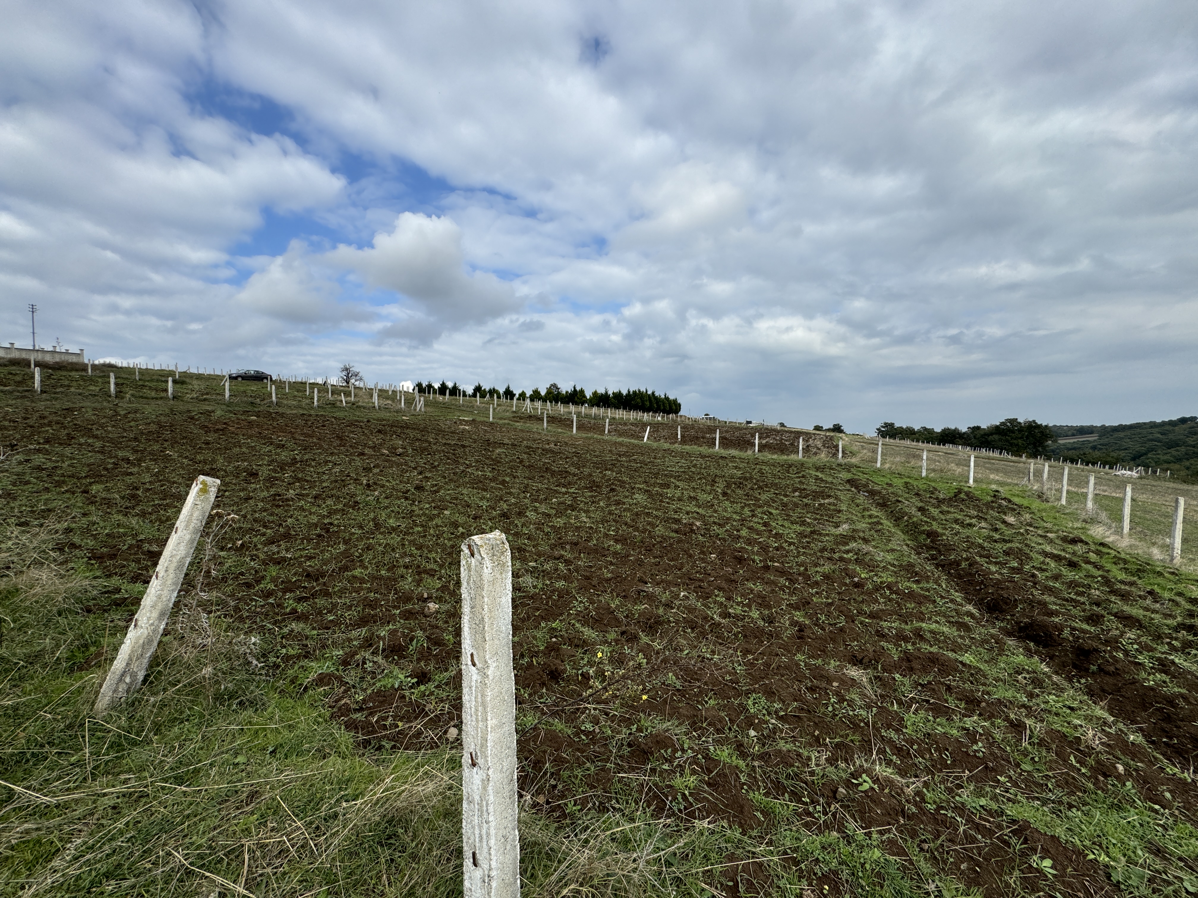 PAMUKLU BULVARINA 250M 5 KATA İMARLI ARSA
