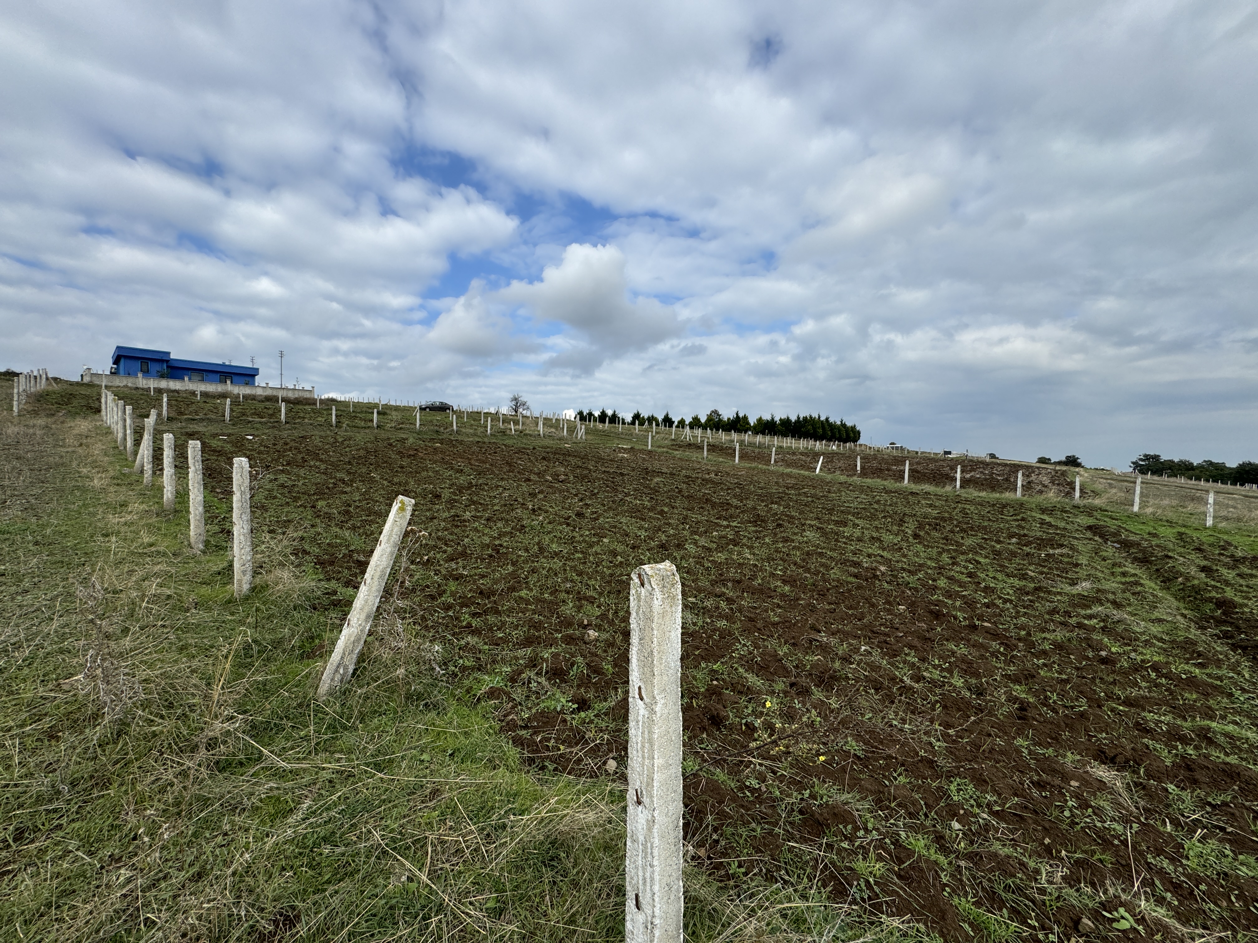 PAMUKLU BULVARINA 250M 5 KATA İMARLI ARSA